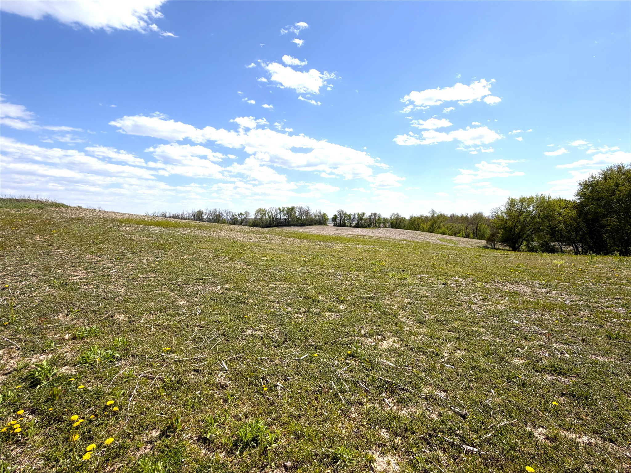 125-acres Steig Coulee Road Osseo, WI 54758 - Photo 23 of 32