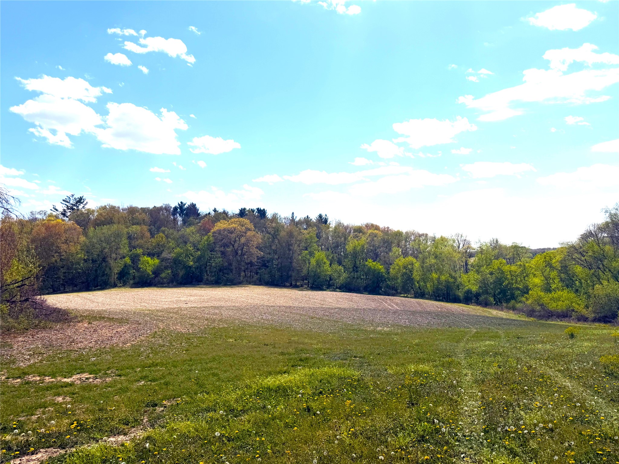 125-acres Steig Coulee Road Osseo, WI 54758 - Photo 24 of 32