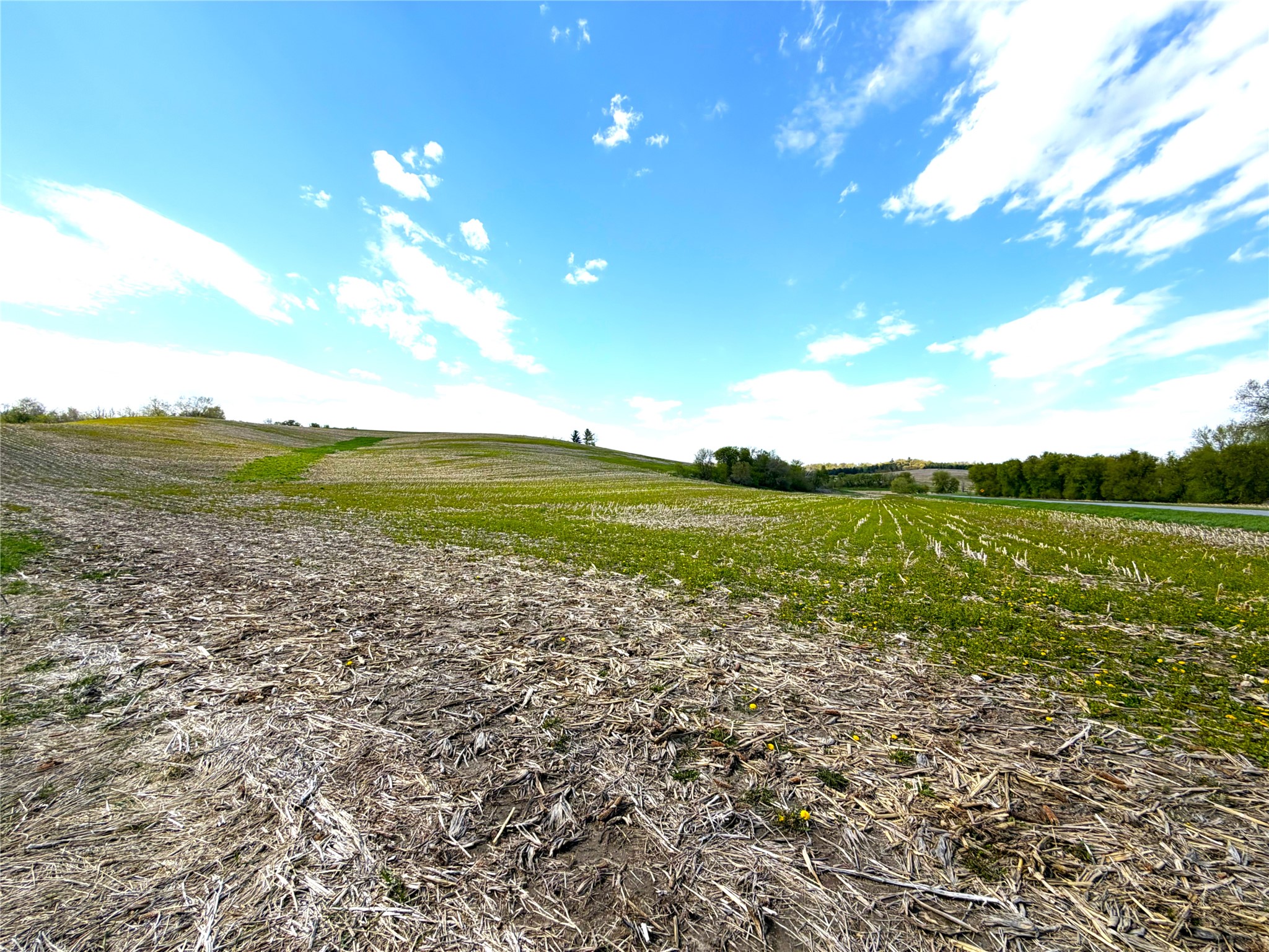 125-acres Steig Coulee Road Osseo, WI 54758 - Photo 29 of 32