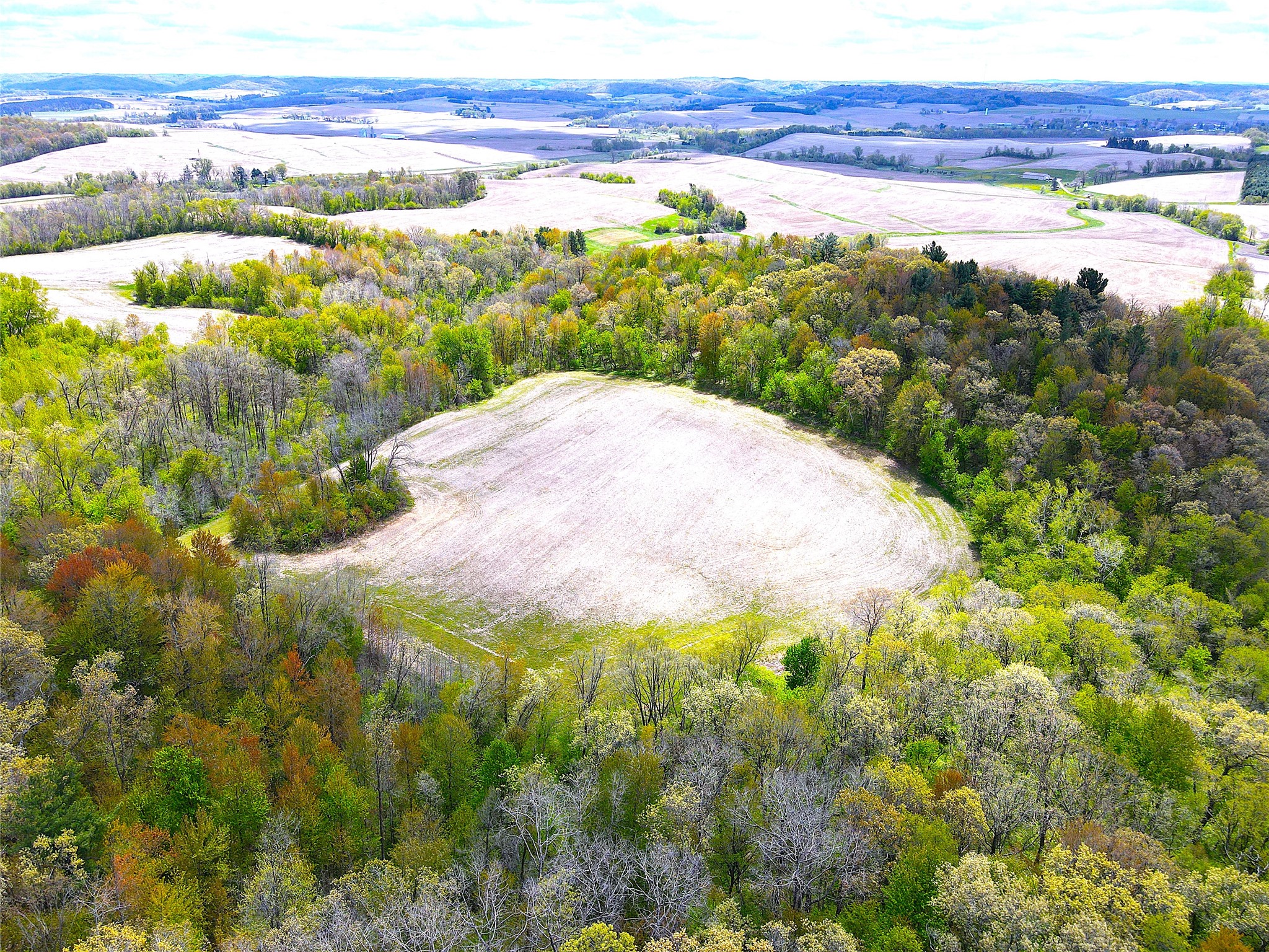 125-acres Steig Coulee Road Osseo, WI 54758 - Photo 3 of 32