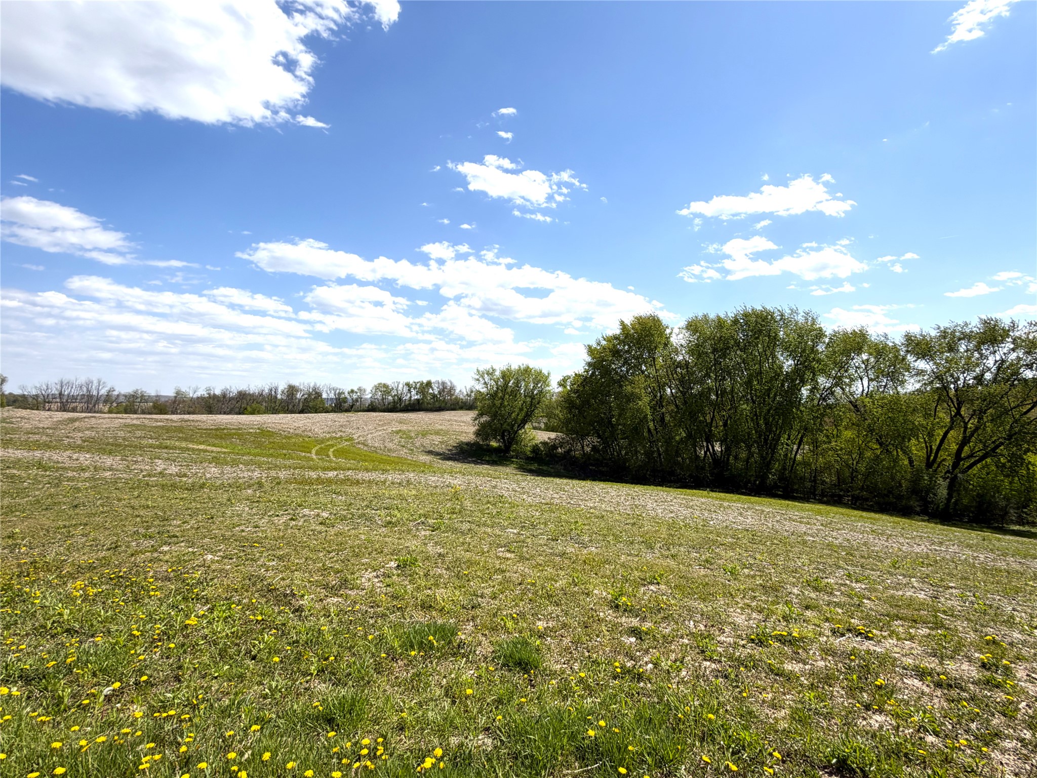 125-acres Steig Coulee Road Osseo, WI 54758 - Photo 5 of 32