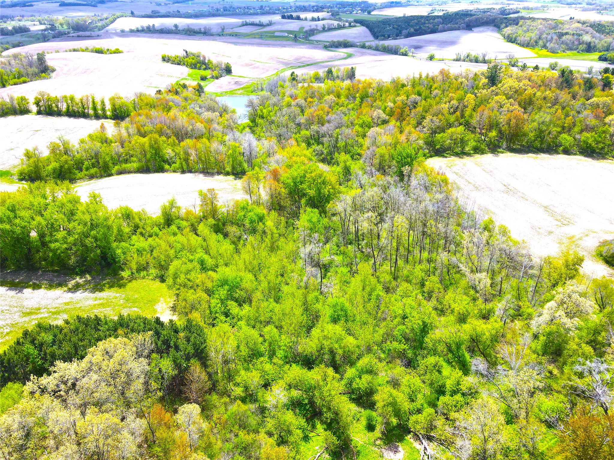 125-acres Steig Coulee Road Osseo, WI 54758 - Photo 6 of 32