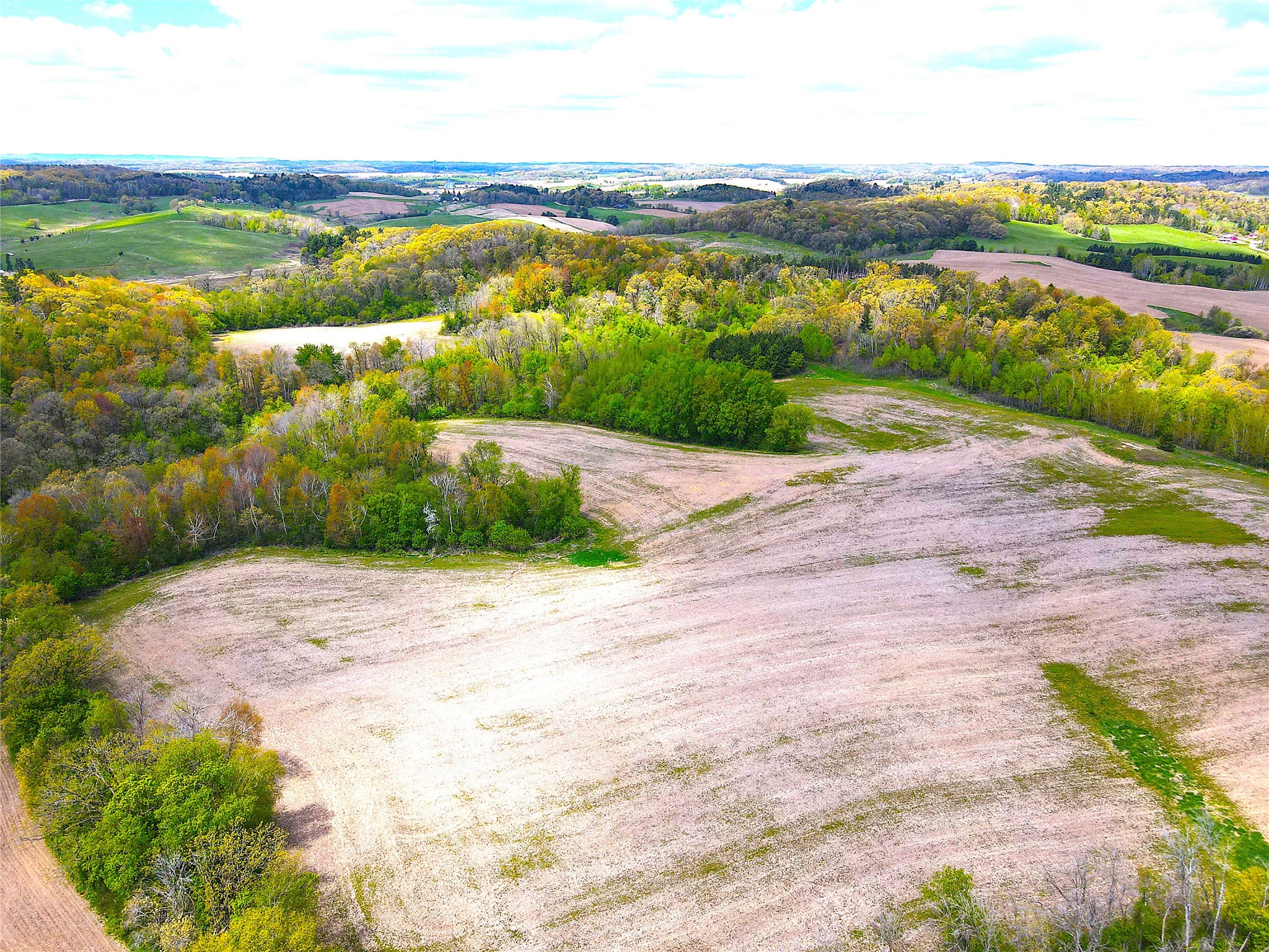125-acres Steig Coulee Road Osseo, WI 54758 - Photo 7 of 32