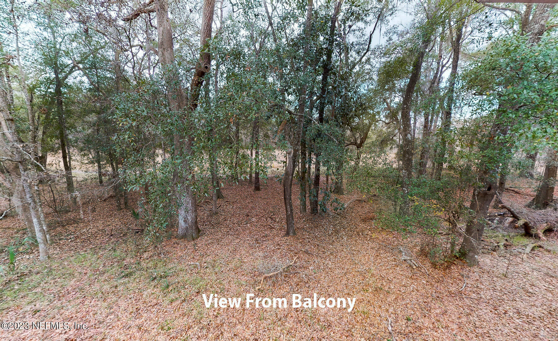 2960 Ravines Road, Unit 1324 Middleburg, FL 32068 - Photo 21 of 26 Balcony View