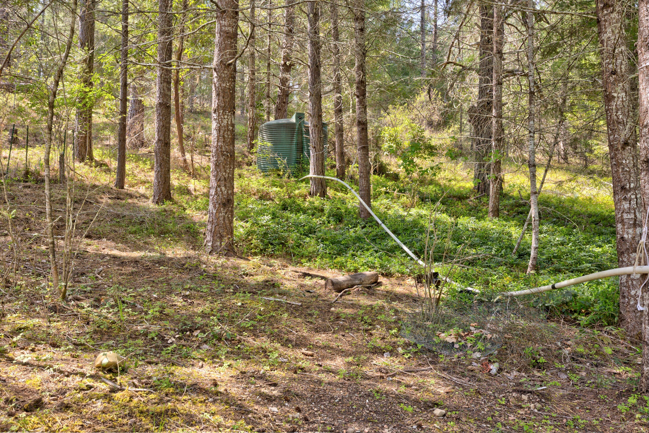 476 Elliott Creek Road Wilderville, OR 97543 - Photo 13 of 36 0R1A0634_5_6_7_8