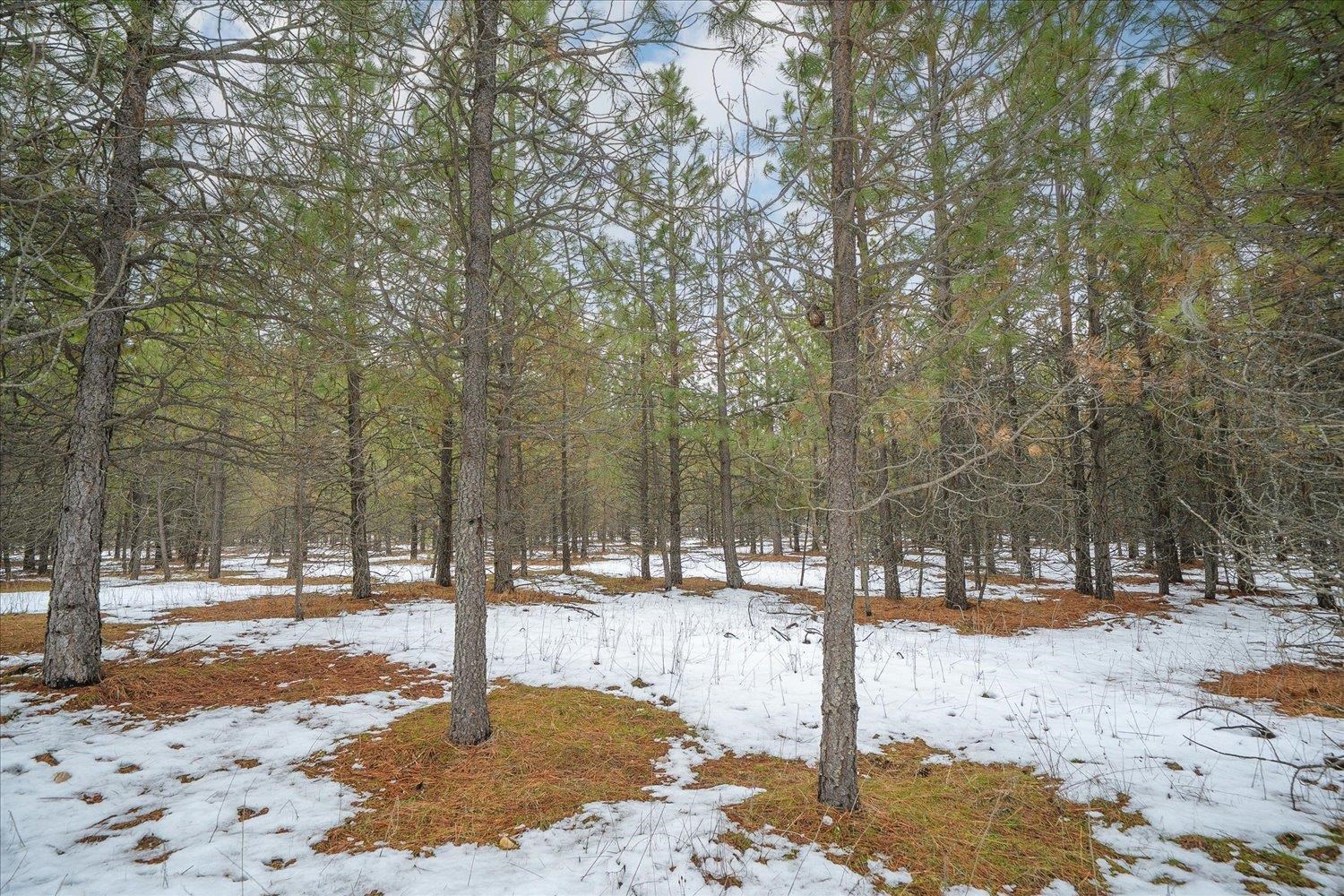 3888 Powers Road Loon Lake, WA 99148 - Photo 39 of 43 Gallery Image 39