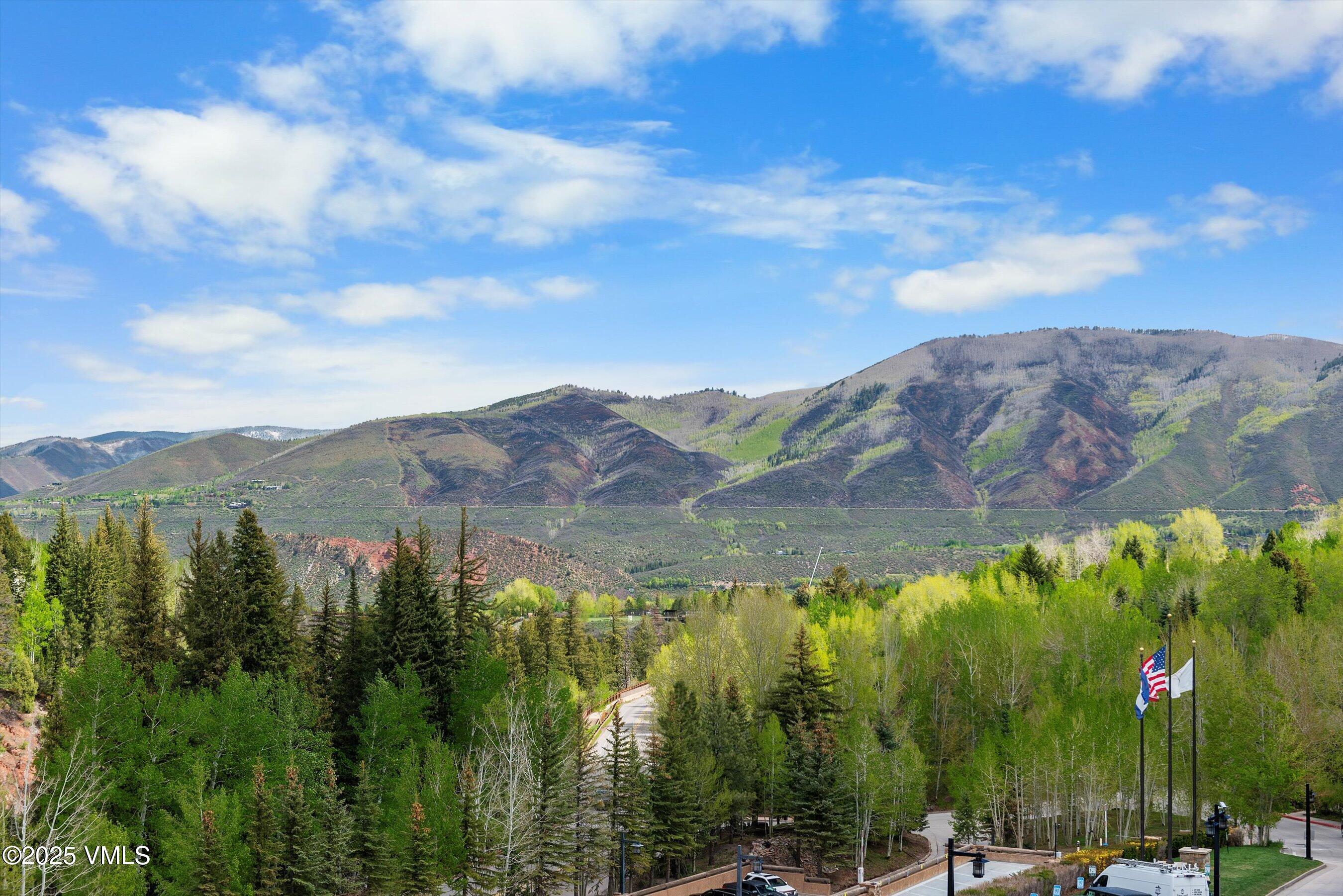 39 Boomerang Road, Unit 841114 Aspen, CO 81611 - Photo 10 of 35 a view of a lot of trees and mountains