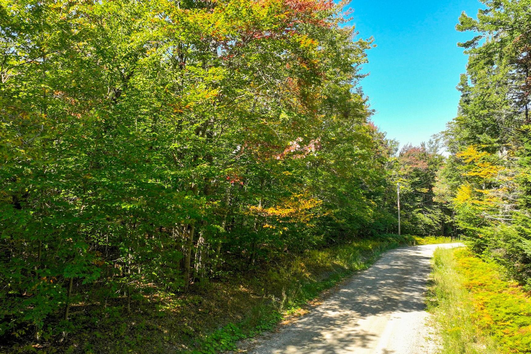 0 Old Weston Mountain Road, Unit LOT 1 Ludlow, VT 05149 - Photo 1 of 6
