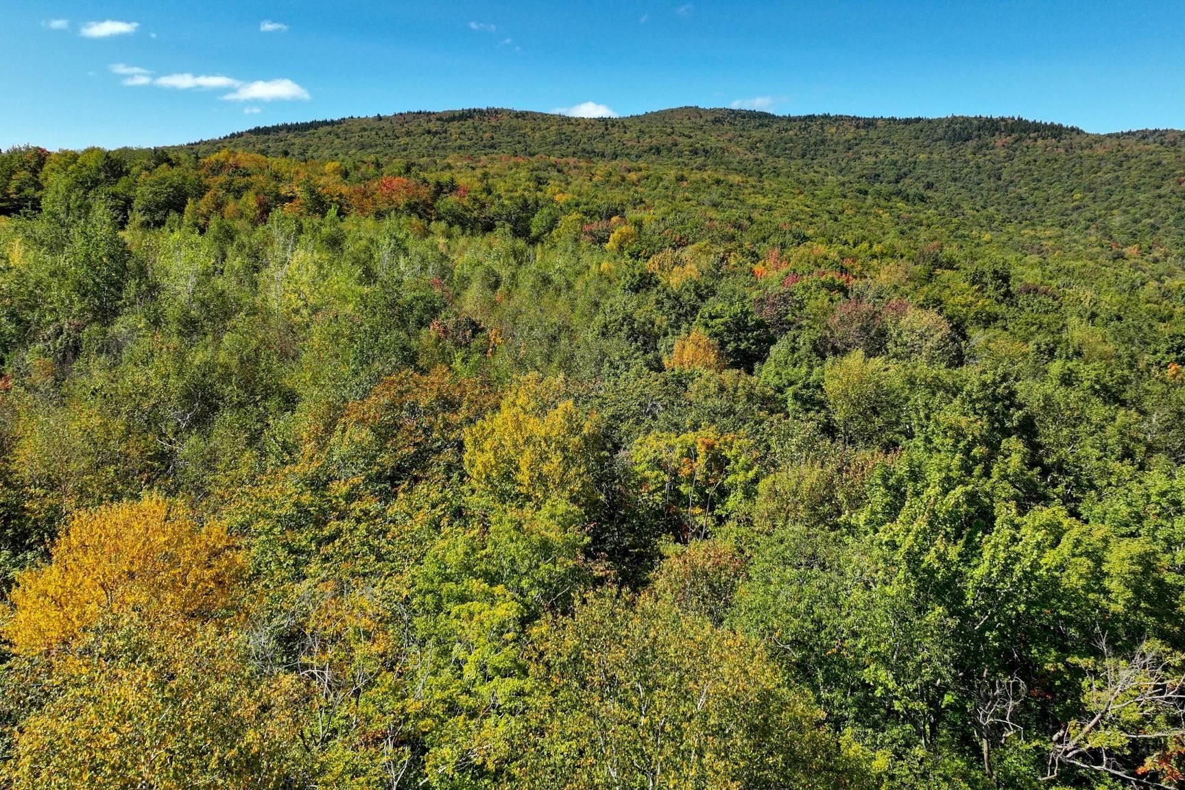 0 Old Weston Mountain Road, Unit LOT 1 Ludlow, VT 05149 - Photo 2 of 6