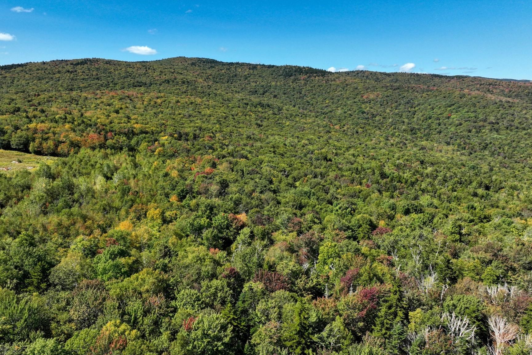 0 Old Weston Mountain Road, Unit LOT 1 Ludlow, VT 05149 - Photo 3 of 6