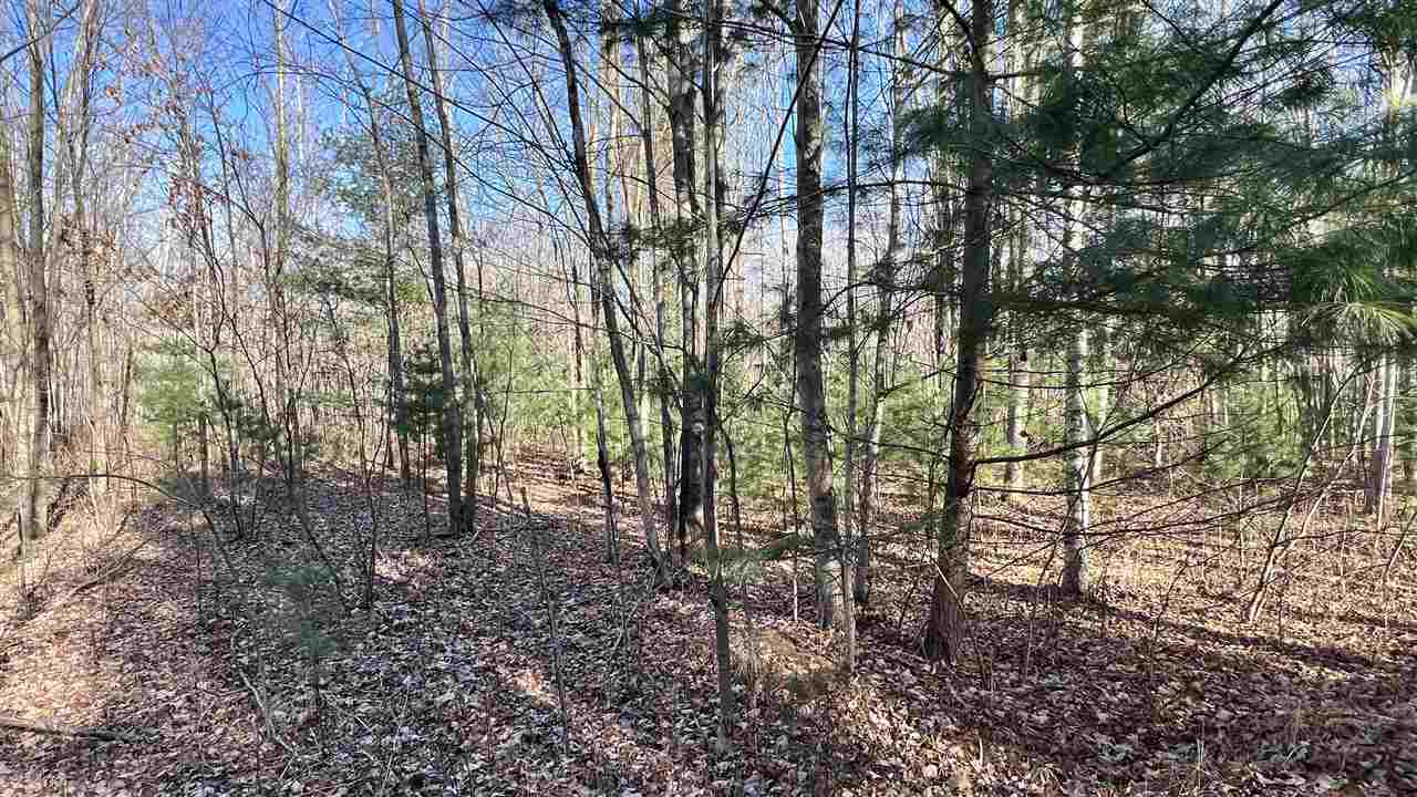 5841 Wendt Road Hope, MI 48628 - Photo 29 of 49 Gallery Image 29