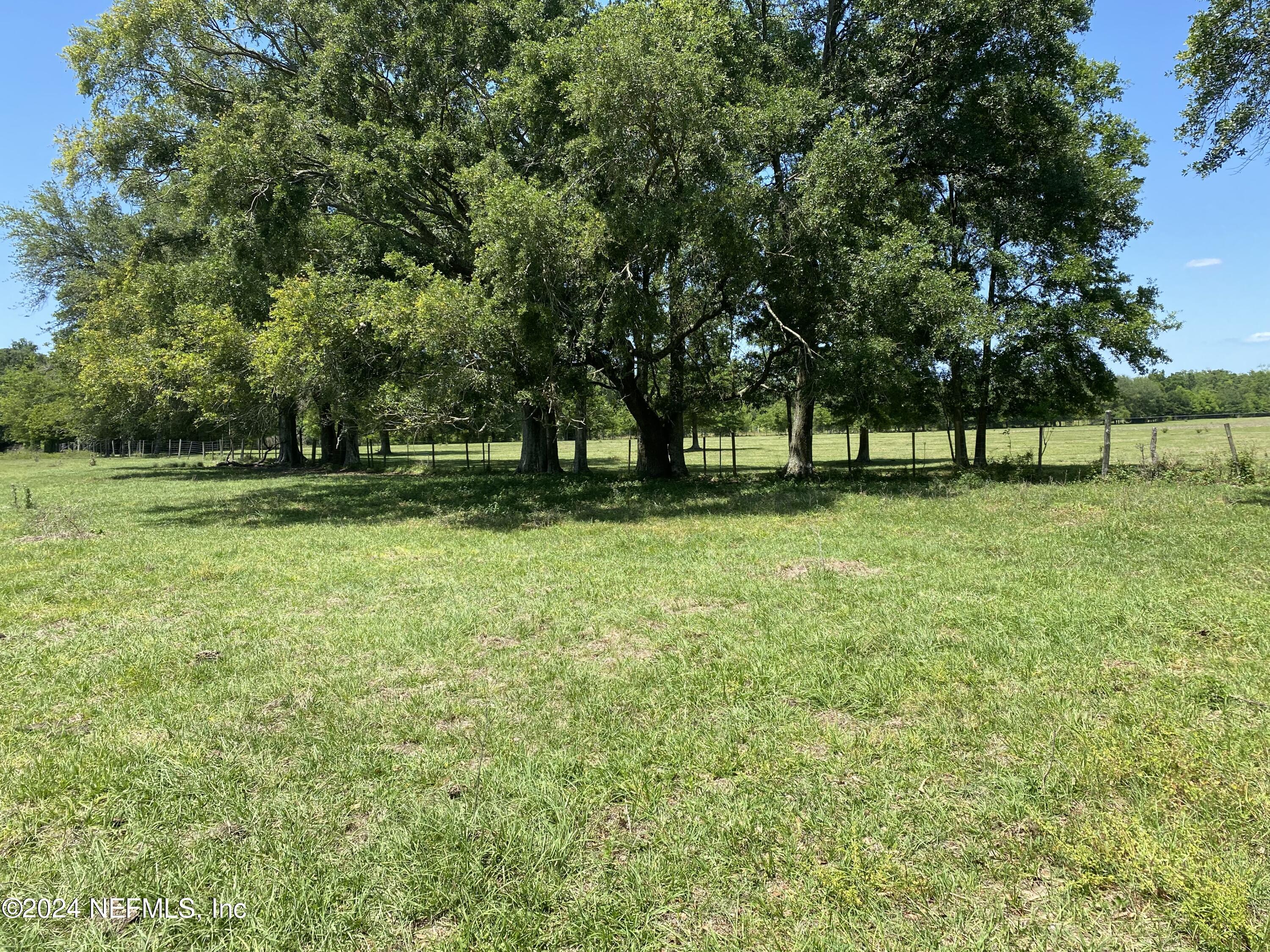 a view of a park with large trees