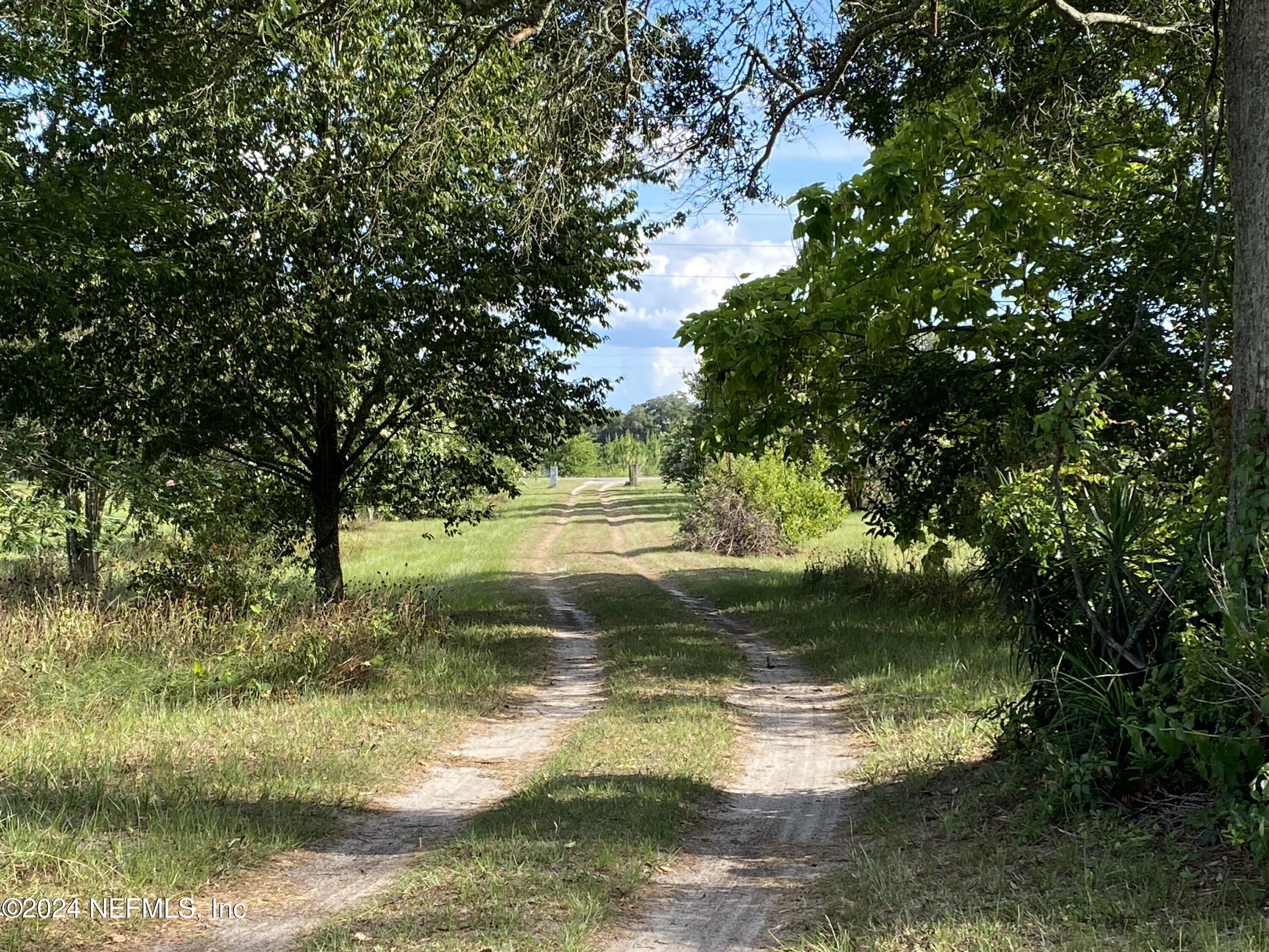 9005 US 90 Lee, FL 32059 - Photo 11 of 19 a view of a tree in a yard next to a building