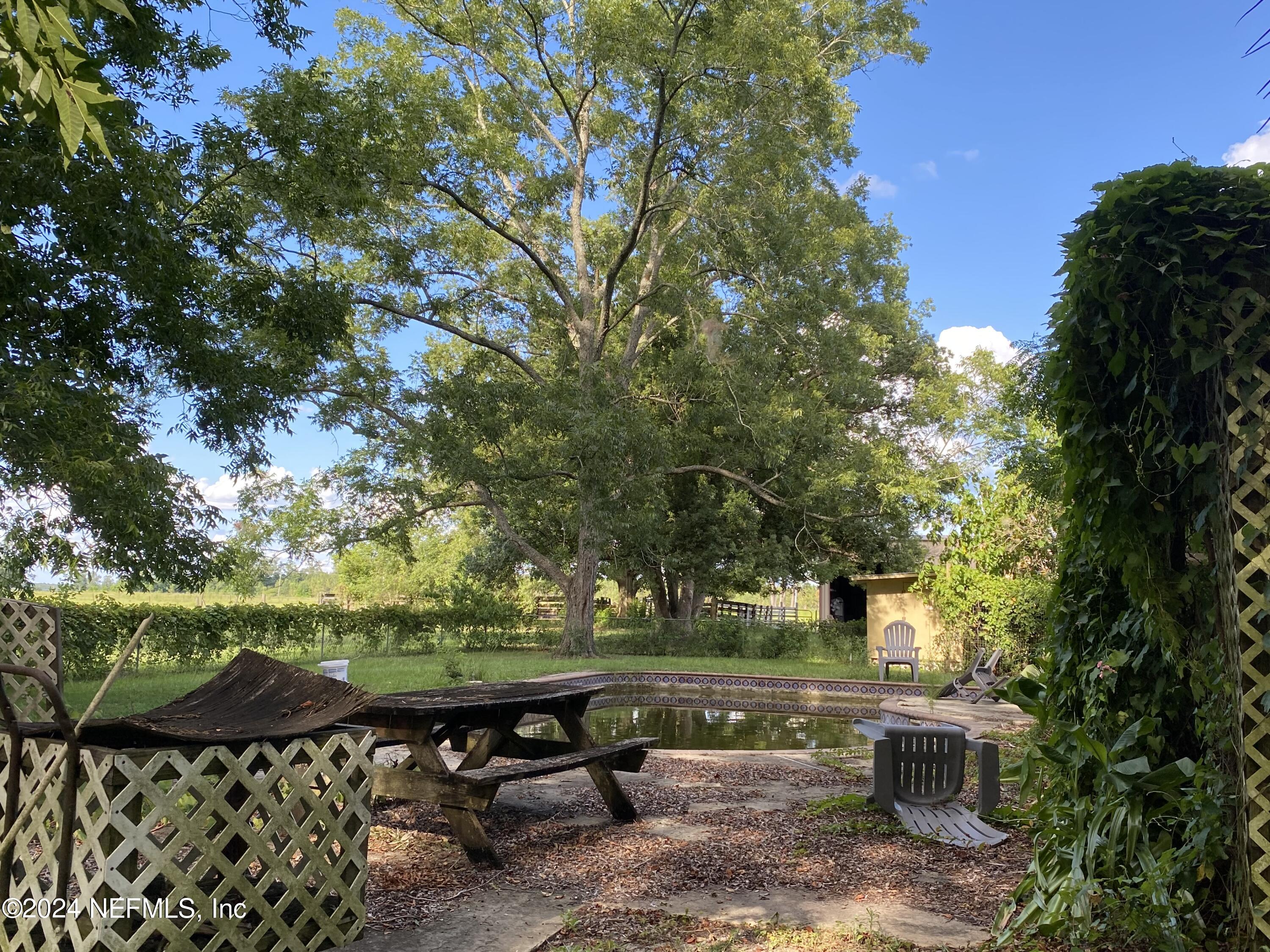 9005 US 90 Lee, FL 32059 - Photo 19 of 19 a view of a yard with plants and a bench