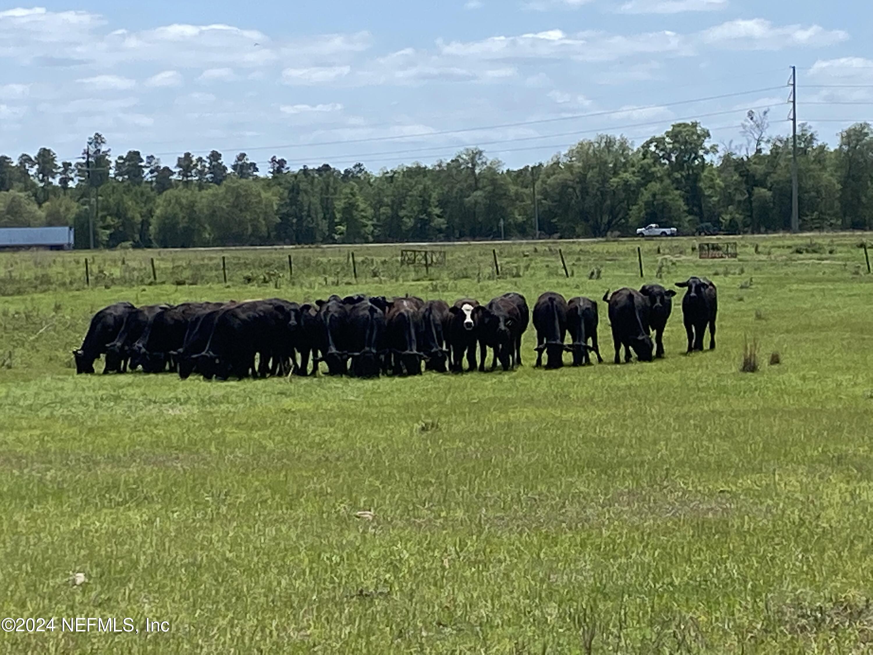 9005 US 90 Lee, FL 32059 - Photo 3 of 19 a view of a grassy field