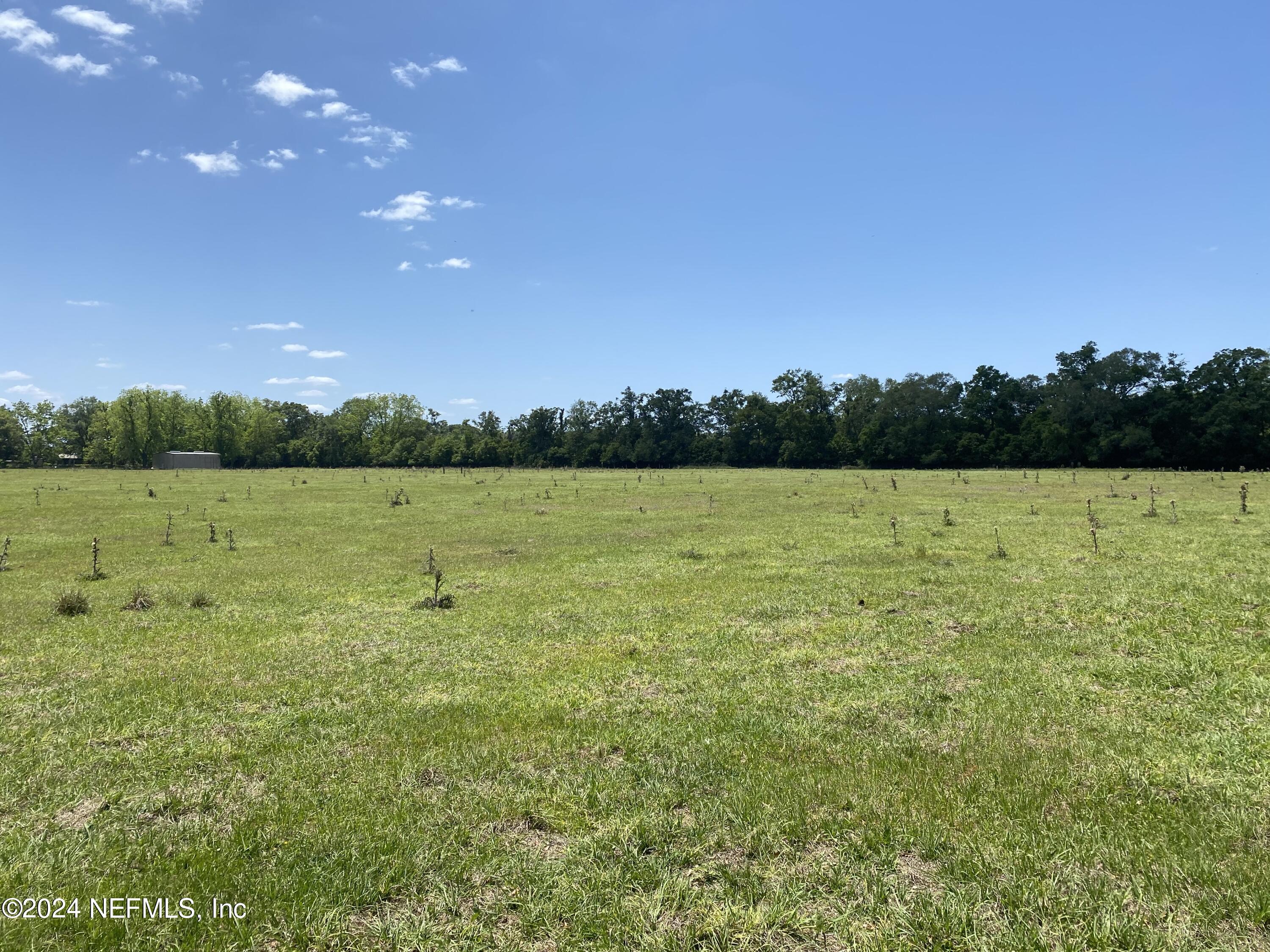 9005 US 90 Lee, FL 32059 - Photo 5 of 19 a view of outdoor space with swimming pool and green space