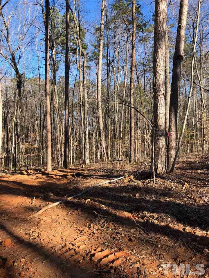 292 Weaver Ridge Road Rougemont, NC 27572 - Photo 24 of 25