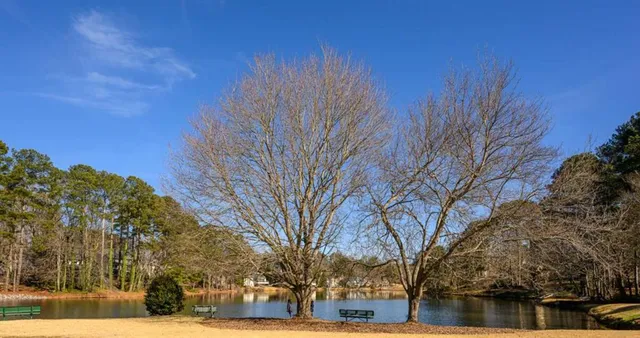 a view of water with a yard in front of it