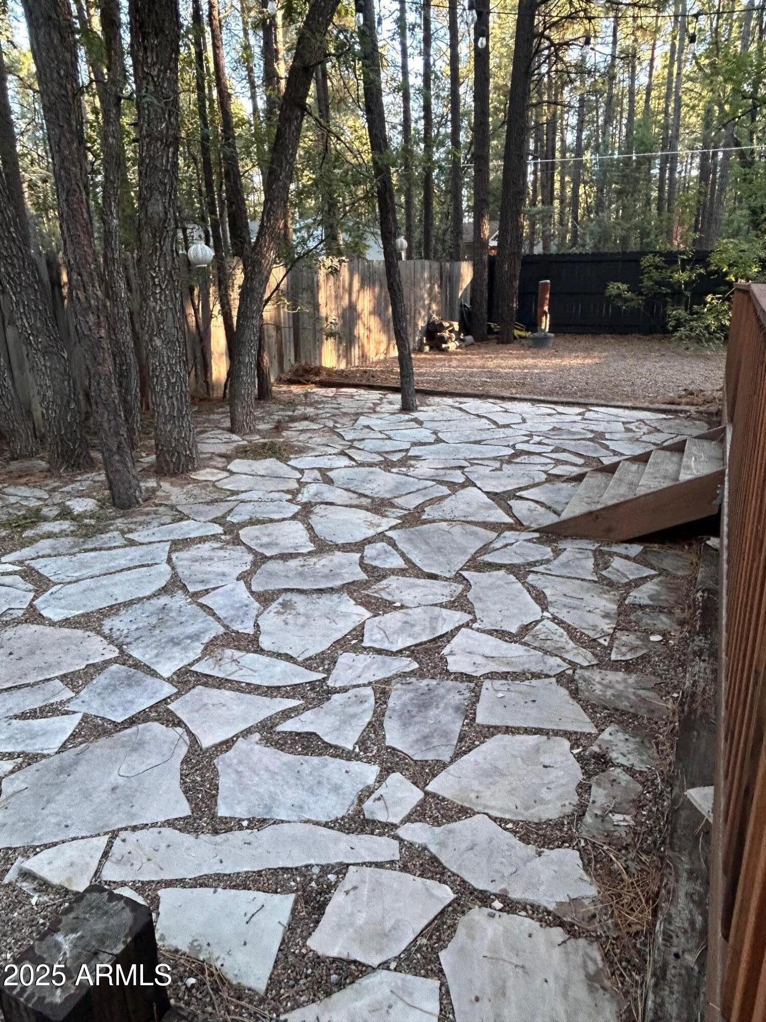 435 Southlake Road Lakeside, AZ 85929 - Photo 29 of 30 a view of a yard with plants