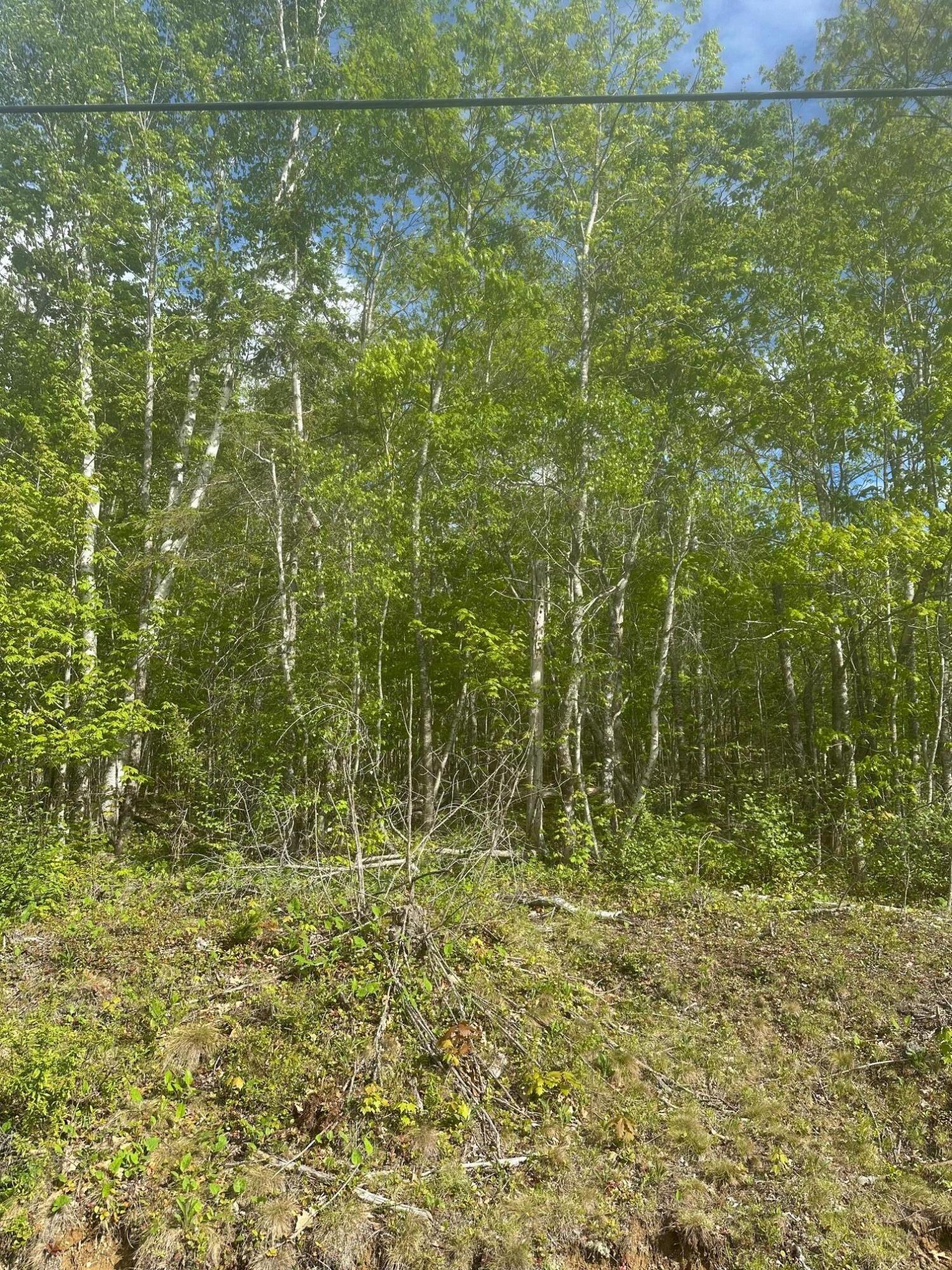 Lot 4 Unionville Road Steuben, ME 04680 - Photo 3 of 4 Lot 4-2