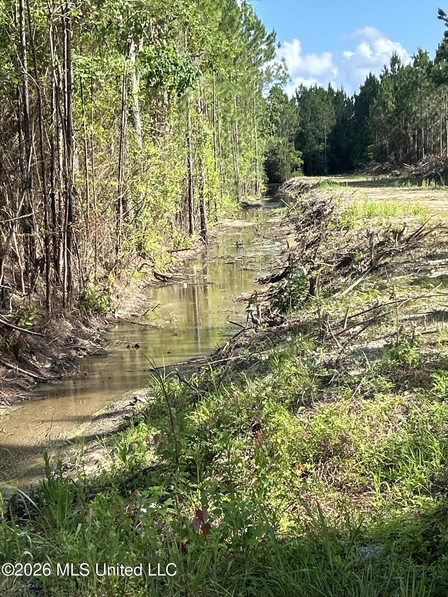 Norman Road Gautier, MS 39553 - Photo 2 of 3 IMG_1695
