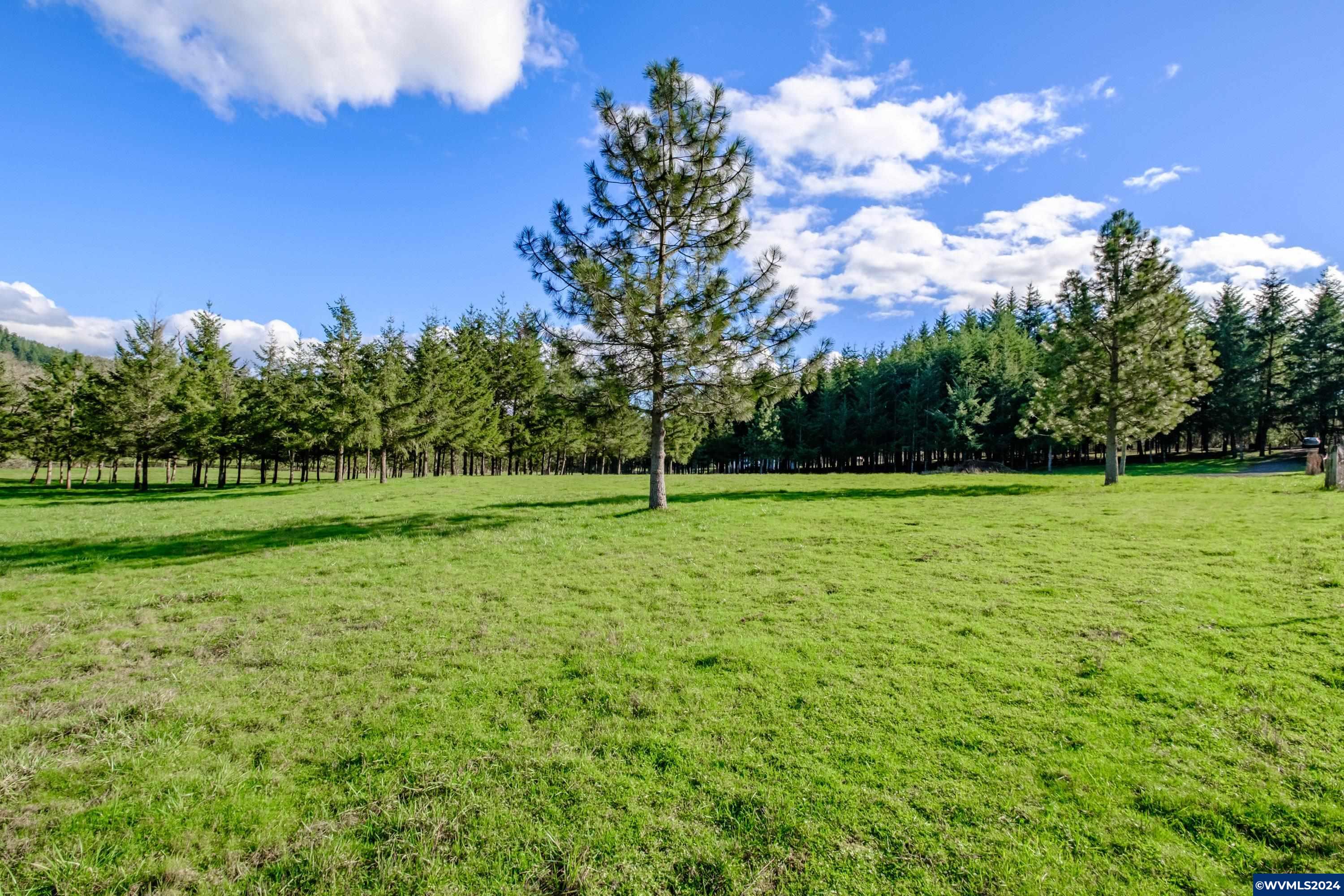 Buck Hill Lane Lebanon, OR 97355 - Photo 27 of 31