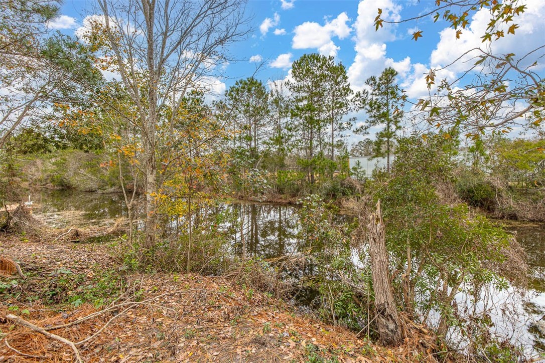 155 Wellington Place Brunswick, GA 31523 - Photo 32 of 36