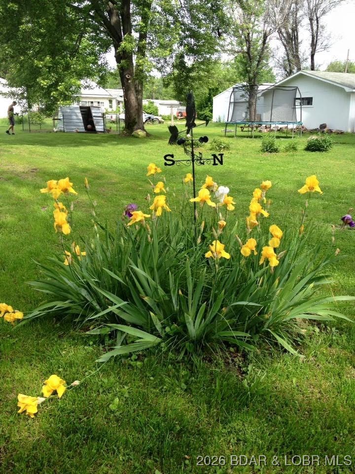 405 South Walnut Street Versailles, MO 65084 - Photo 27 of 28 Can't wait for Spring