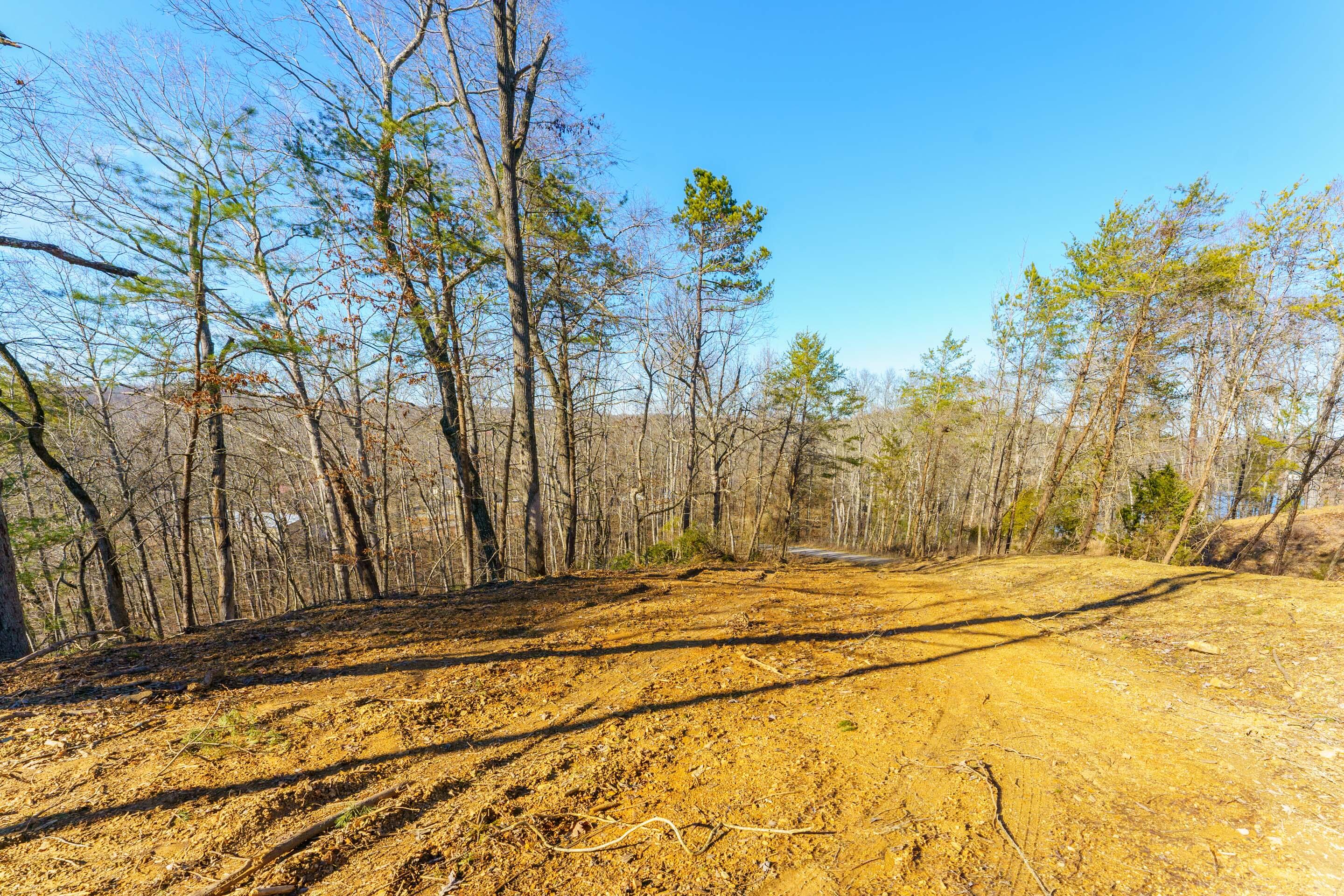 0 Nancy Point Road Spring City, TN 37381 - Photo 1 of 17 1