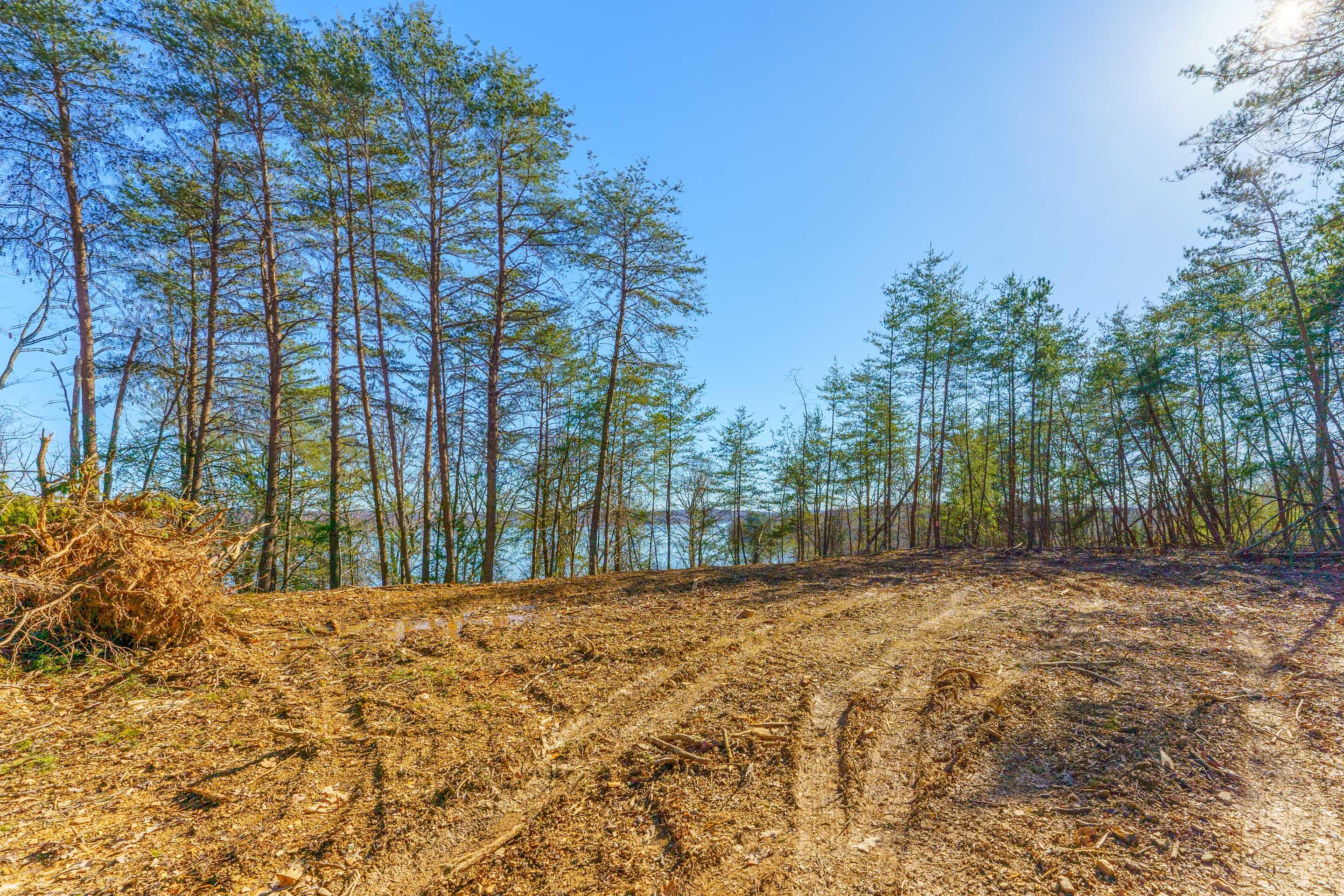 0 Nancy Point Road Spring City, TN 37381 - Photo 2 of 17 2