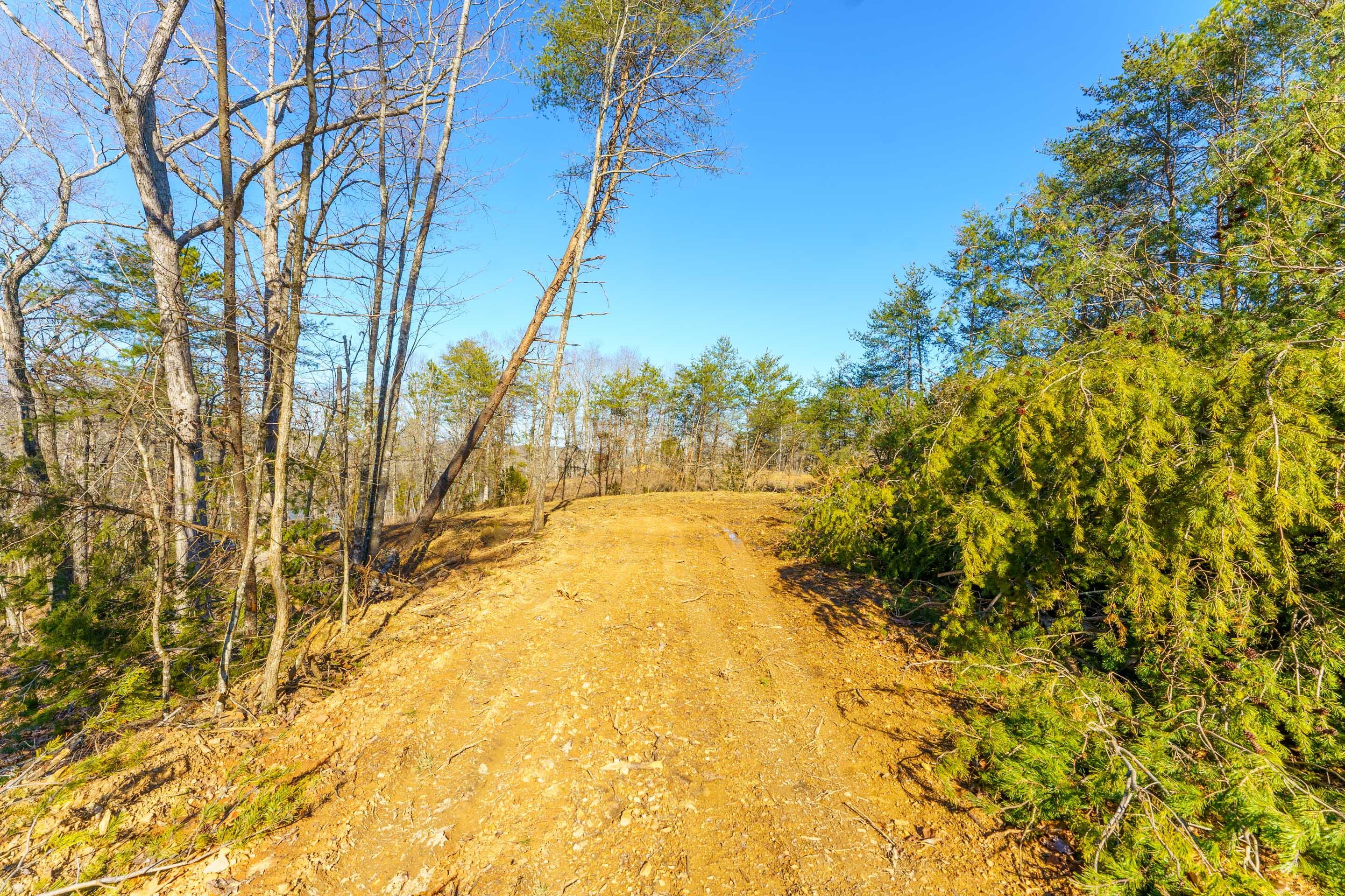 0 Nancy Point Road Spring City, TN 37381 - Photo 3 of 17 3