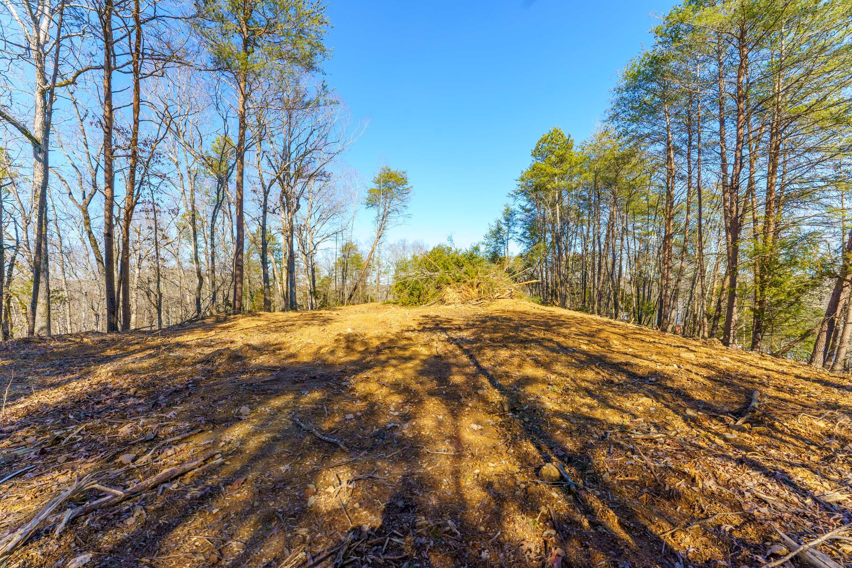 0 Nancy Point Road Spring City, TN 37381 - Photo 4 of 17 4