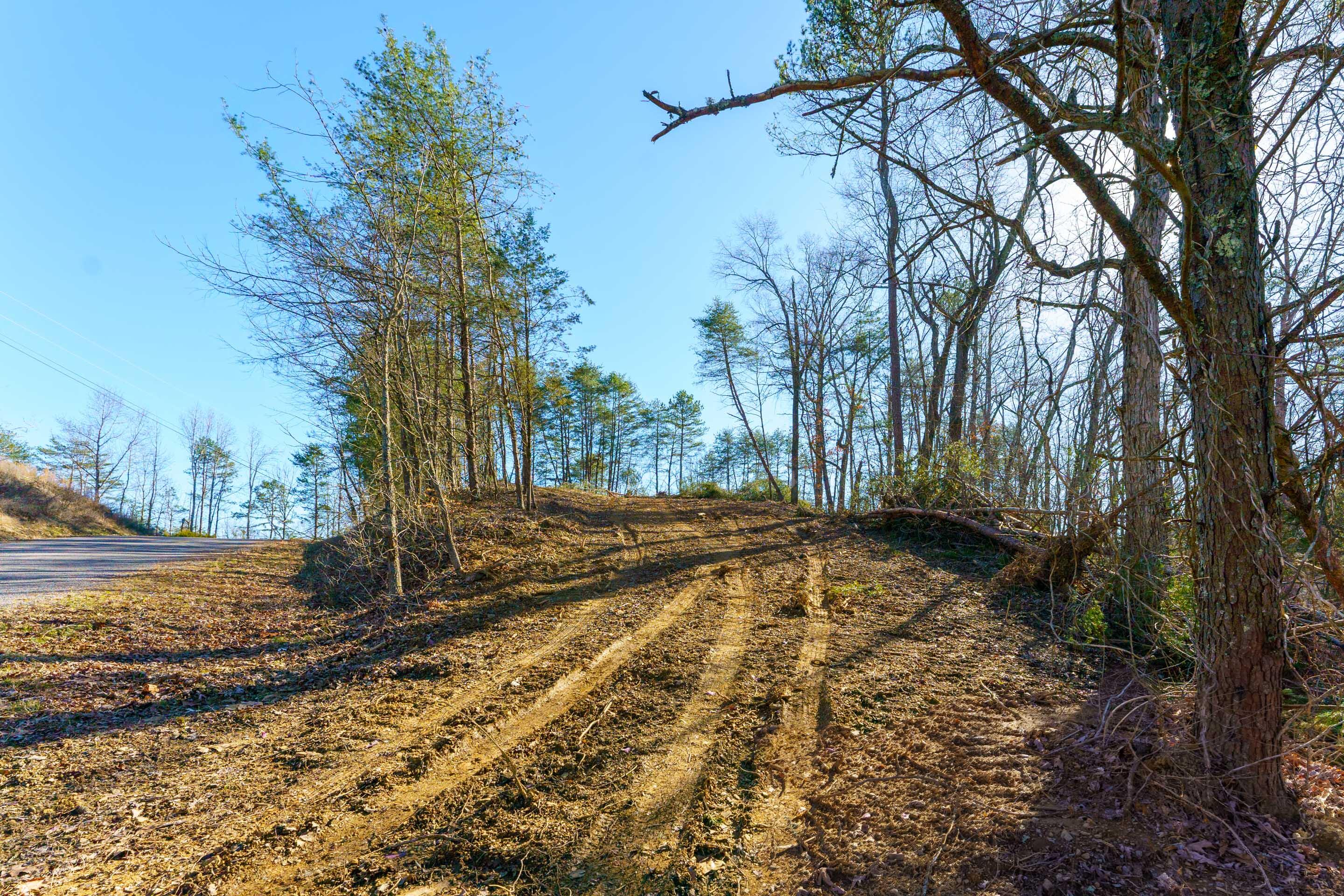 0 Nancy Point Road Spring City, TN 37381 - Photo 5 of 17 5