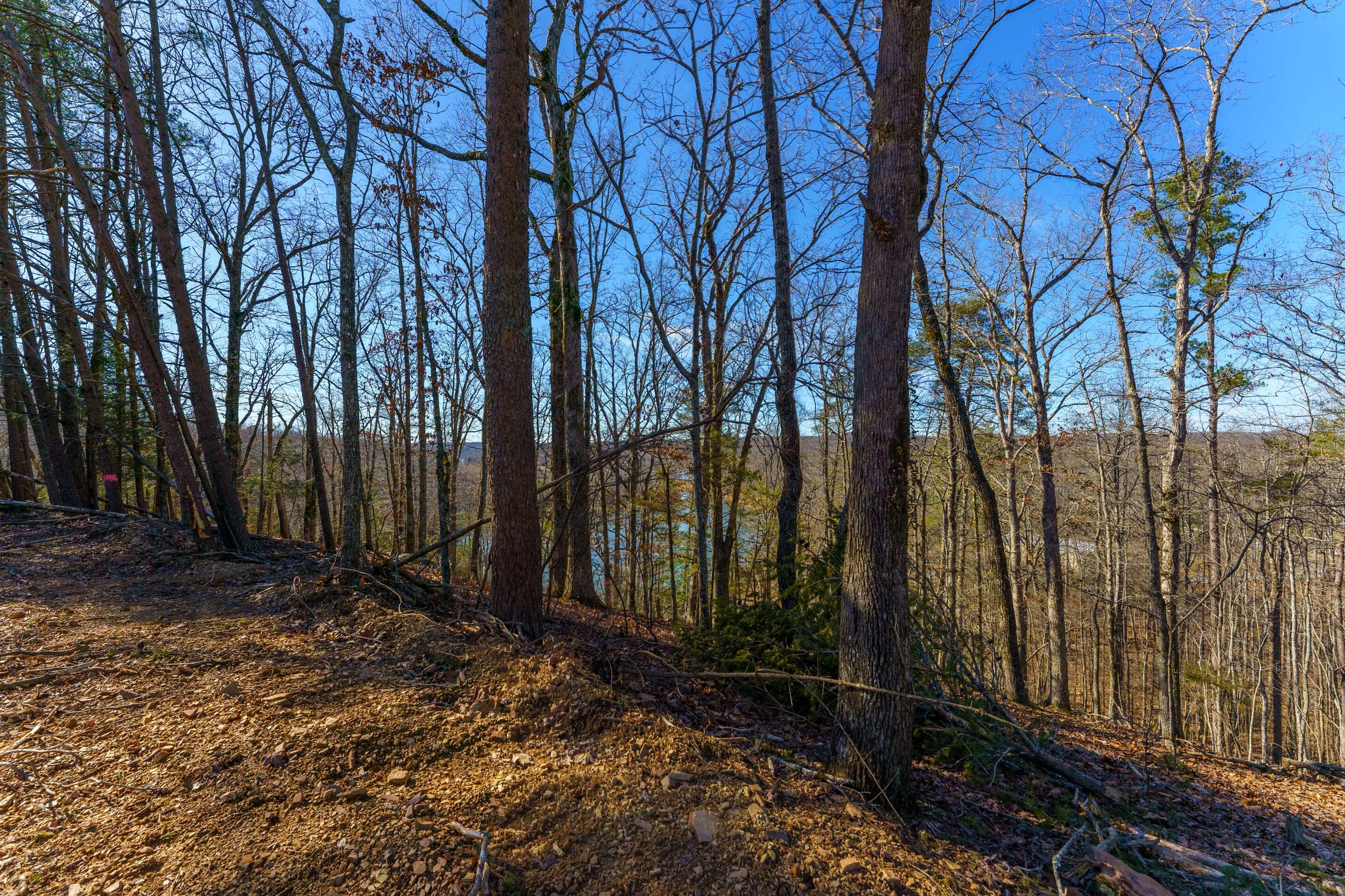 0 Nancy Point Road Spring City, TN 37381 - Photo 6 of 17 6