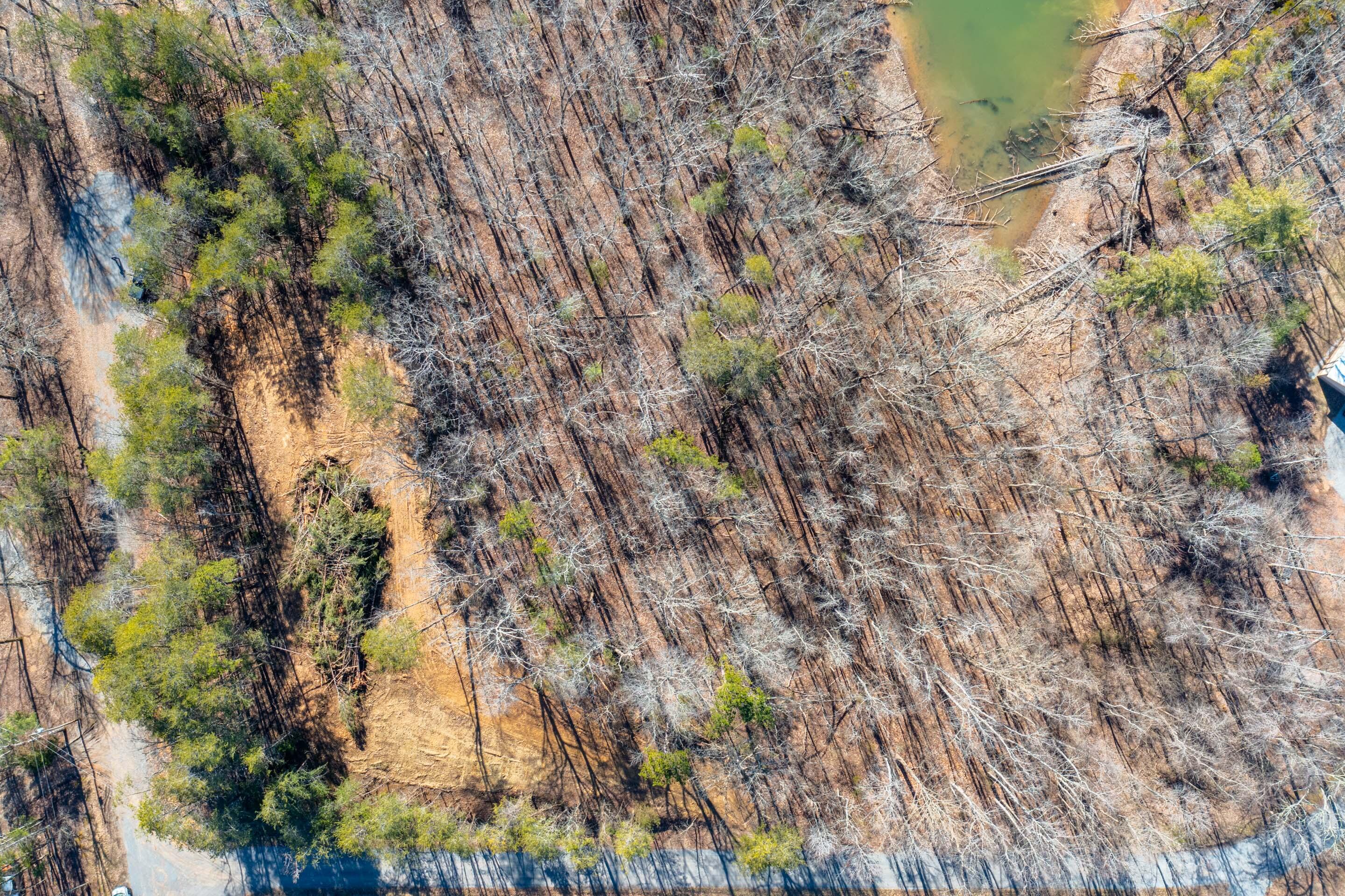 0 Nancy Point Road Spring City, TN 37381 - Photo 7 of 17 7