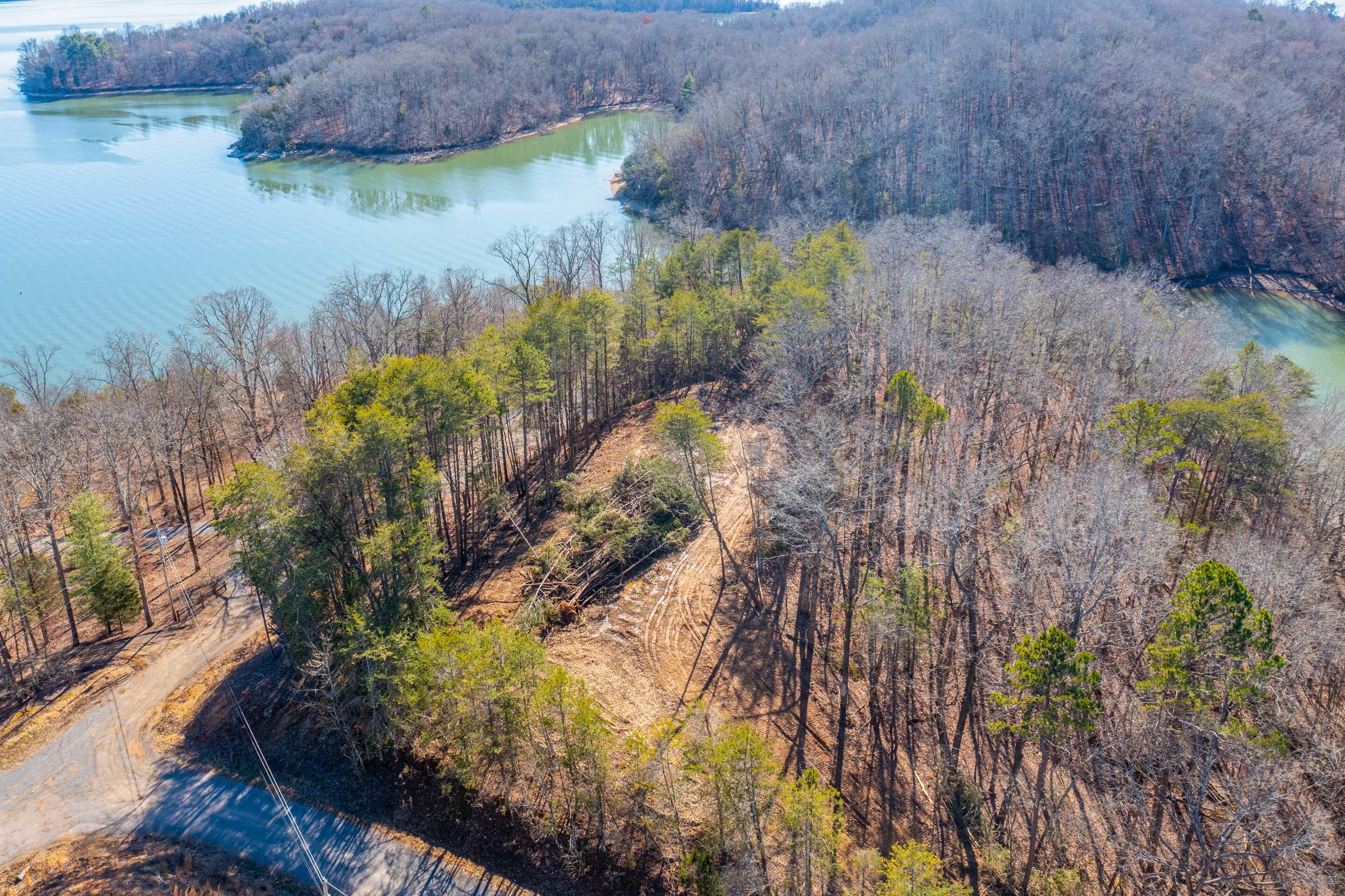 0 Nancy Point Road Spring City, TN 37381 - Photo 9 of 17 9
