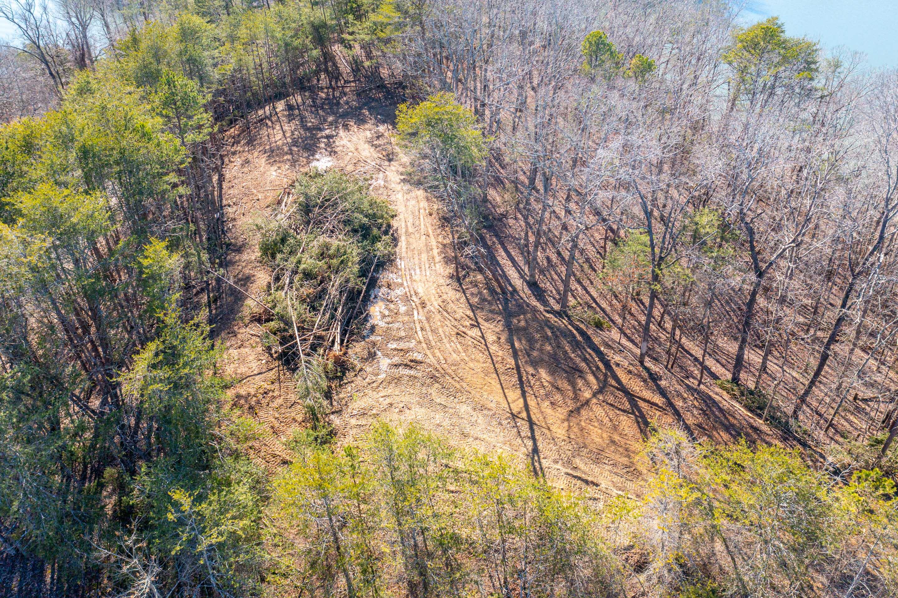 0 Nancy Point Road Spring City, TN 37381 - Photo 10 of 17 10