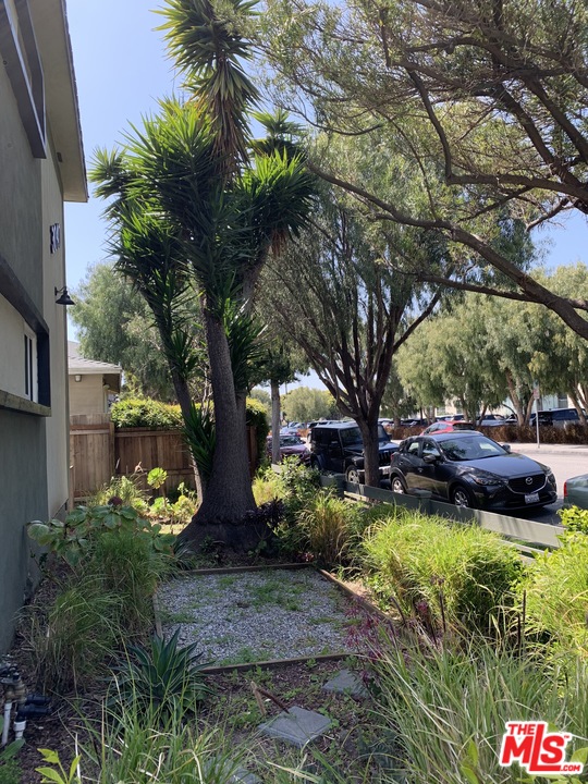 3040 Exposition Boulevard, Unit 1 Santa Monica, CA 90404 - Photo 2 of 15 a view of a garden with plants and trees