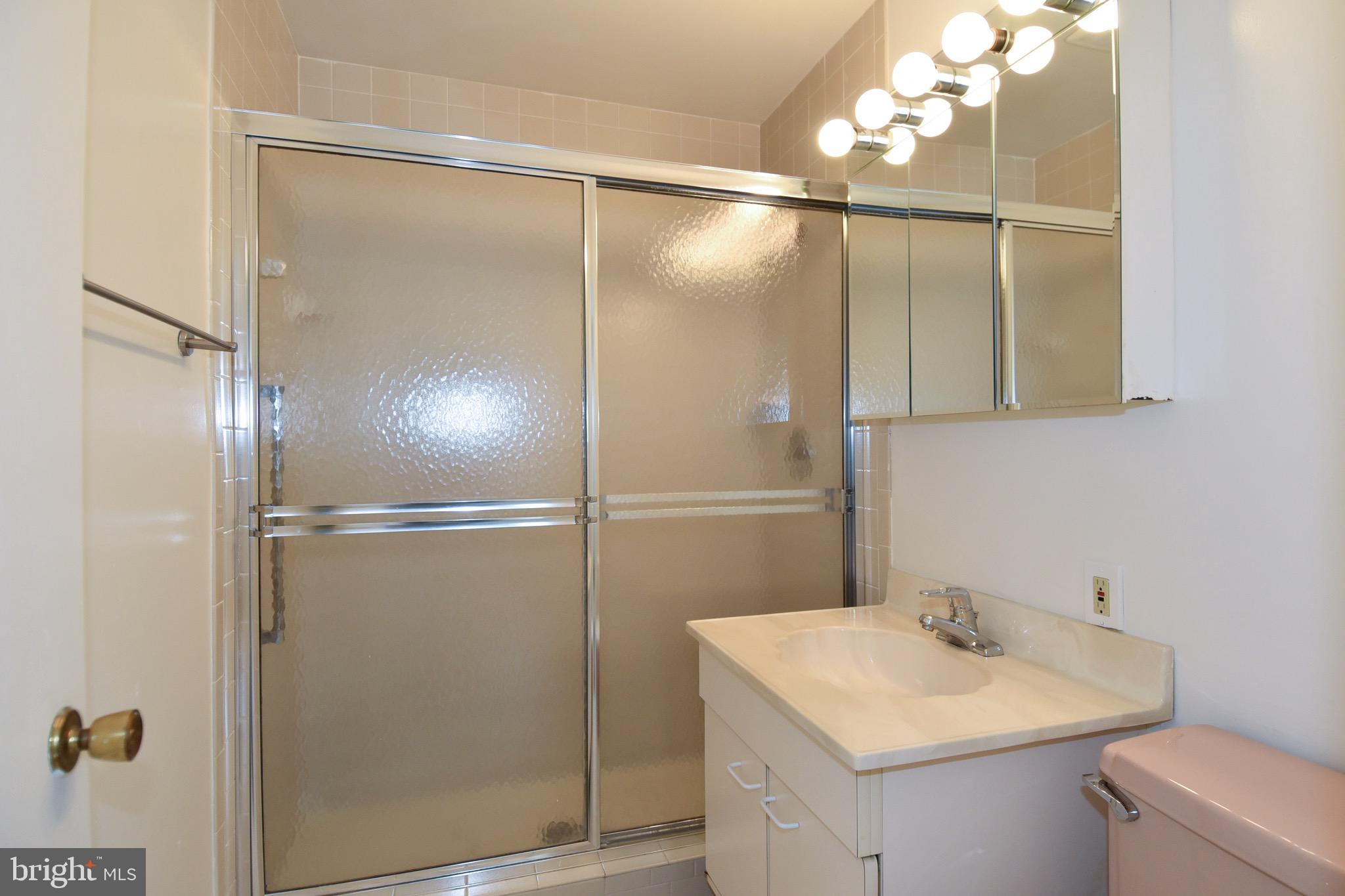2113 Bucknell Terrace, Unit 50 Silver Spring, MD 20902 - Photo 20 of 37 Owner's Suite Bath