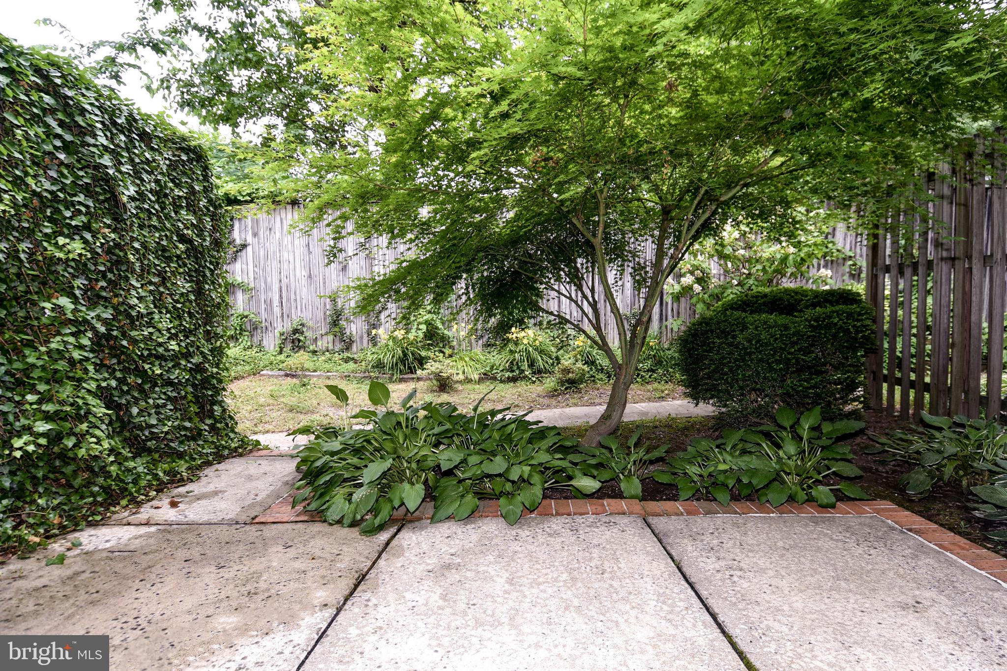 2113 Bucknell Terrace, Unit 50 Silver Spring, MD 20902 - Photo 35 of 37 Rear Patio