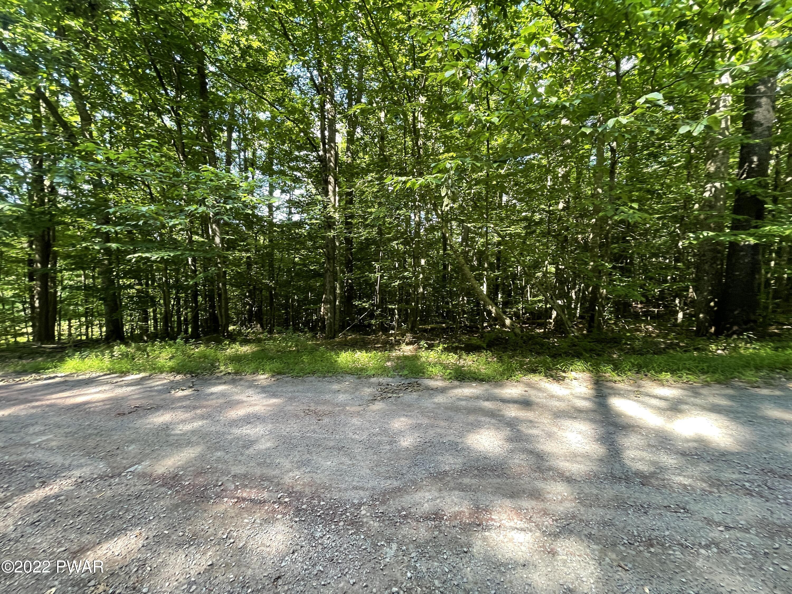 203 Beech Road Equinunk, PA 18417 - Photo 7 of 16