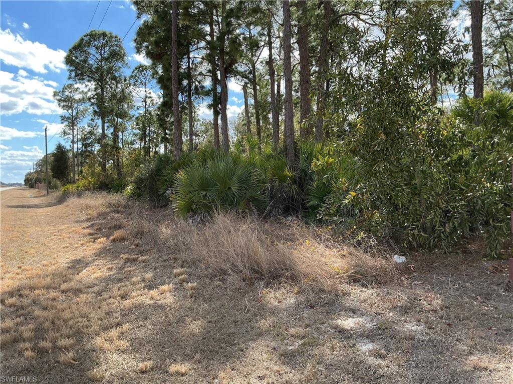 430-450 North Cabbage Palm Street Clewiston, FL 33440 - Photo 10 of 13 a view of a forest with trees in the background