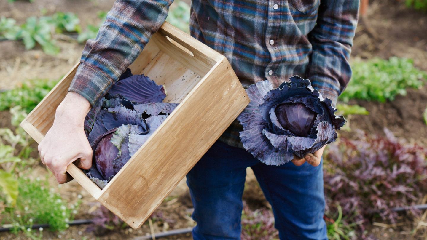 111 Errett Circle Santa Cruz, CA 95060 - Photo 4 of 4 a bird view of house and outdoor space
