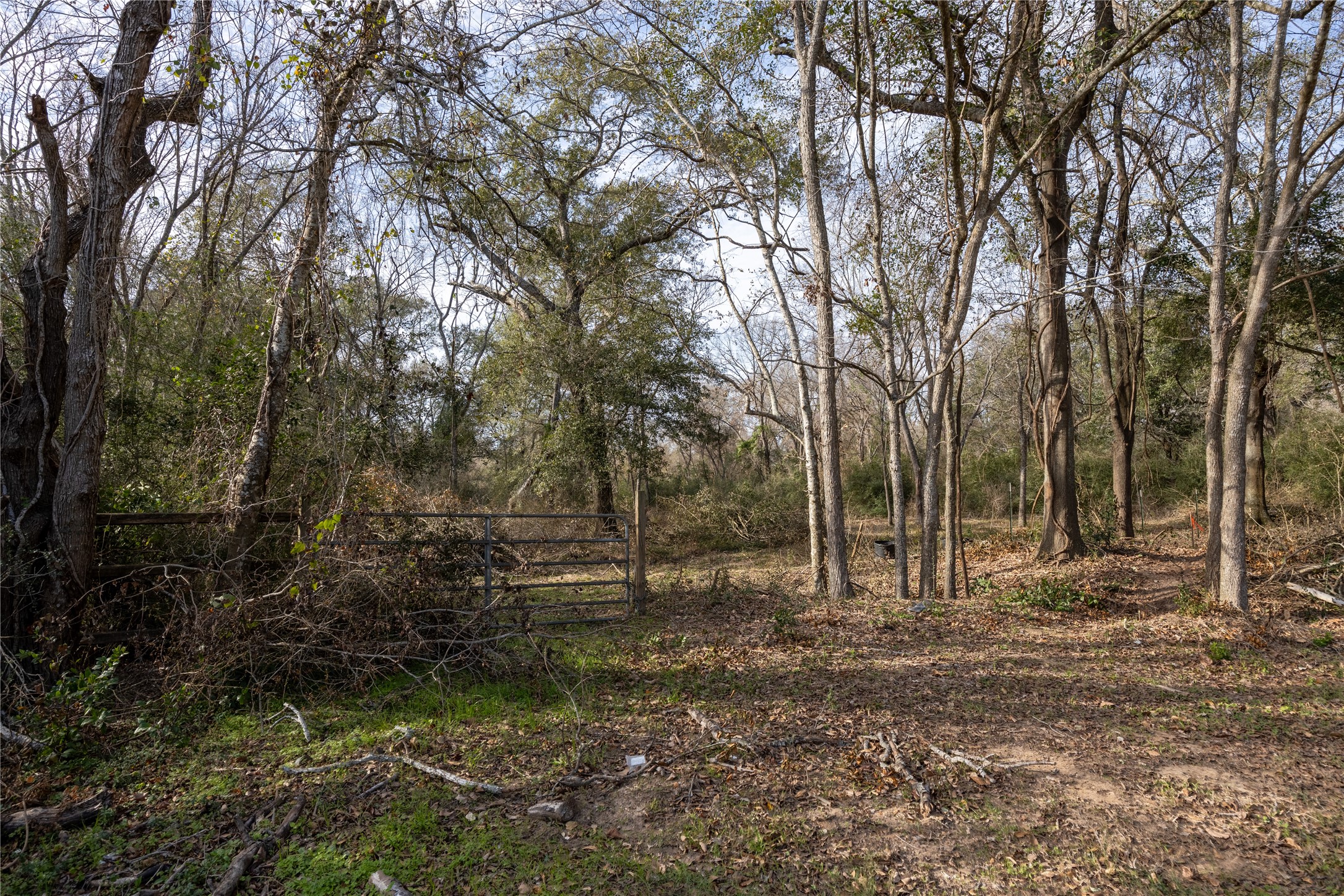 5 Baker Street Hempstead, TX 77445 - Photo 1 of 14 a backyard of a house with lots of green space