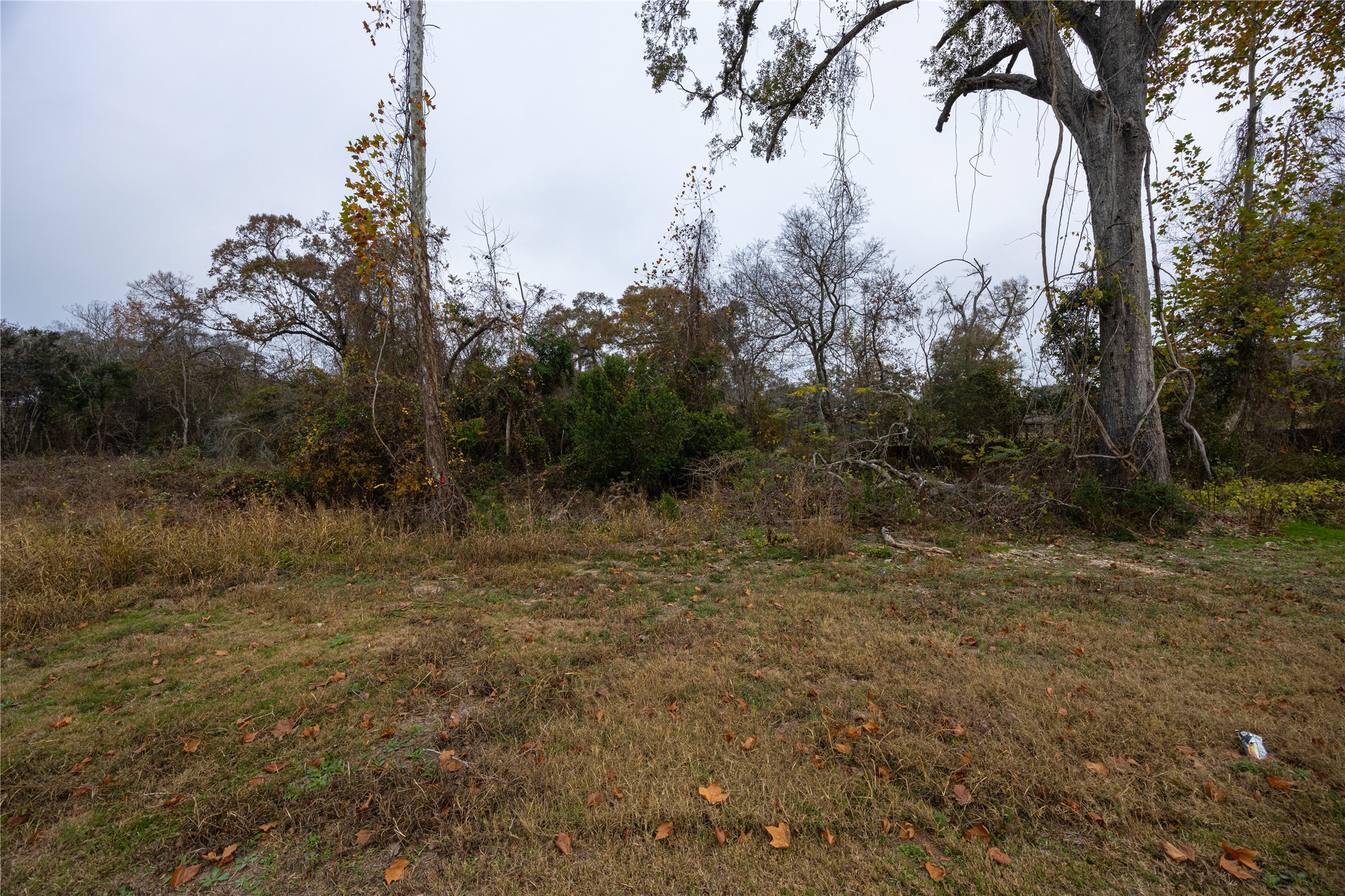 5 Baker Street Hempstead, TX 77445 - Photo 12 of 14 a view of mountain with trees in background