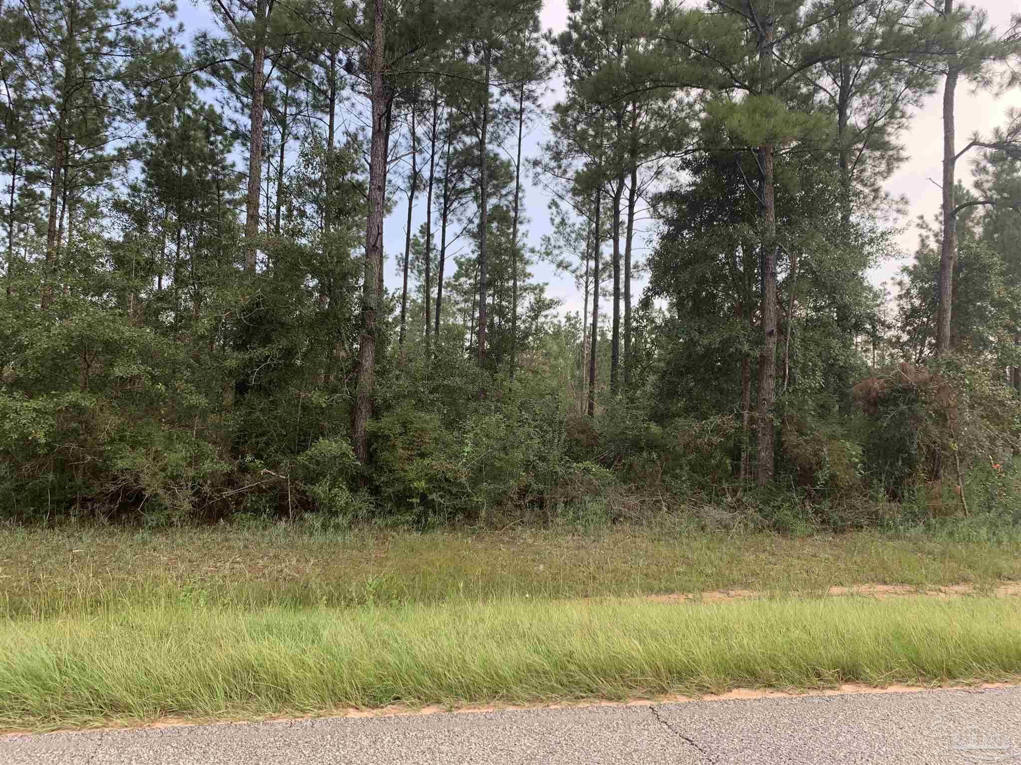 Steele Meadow Drive Milton, FL 32571 - Photo 2 of 3