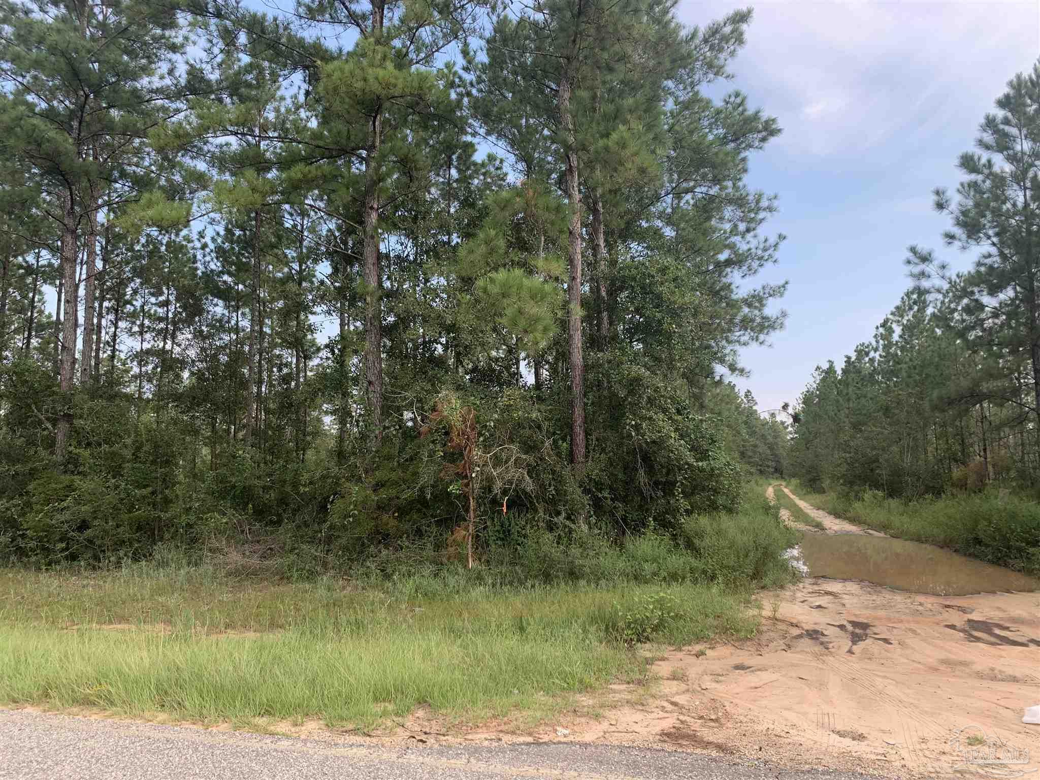 Steele Meadow Drive Milton, FL 32571 - Photo 3 of 3 a view of a yard