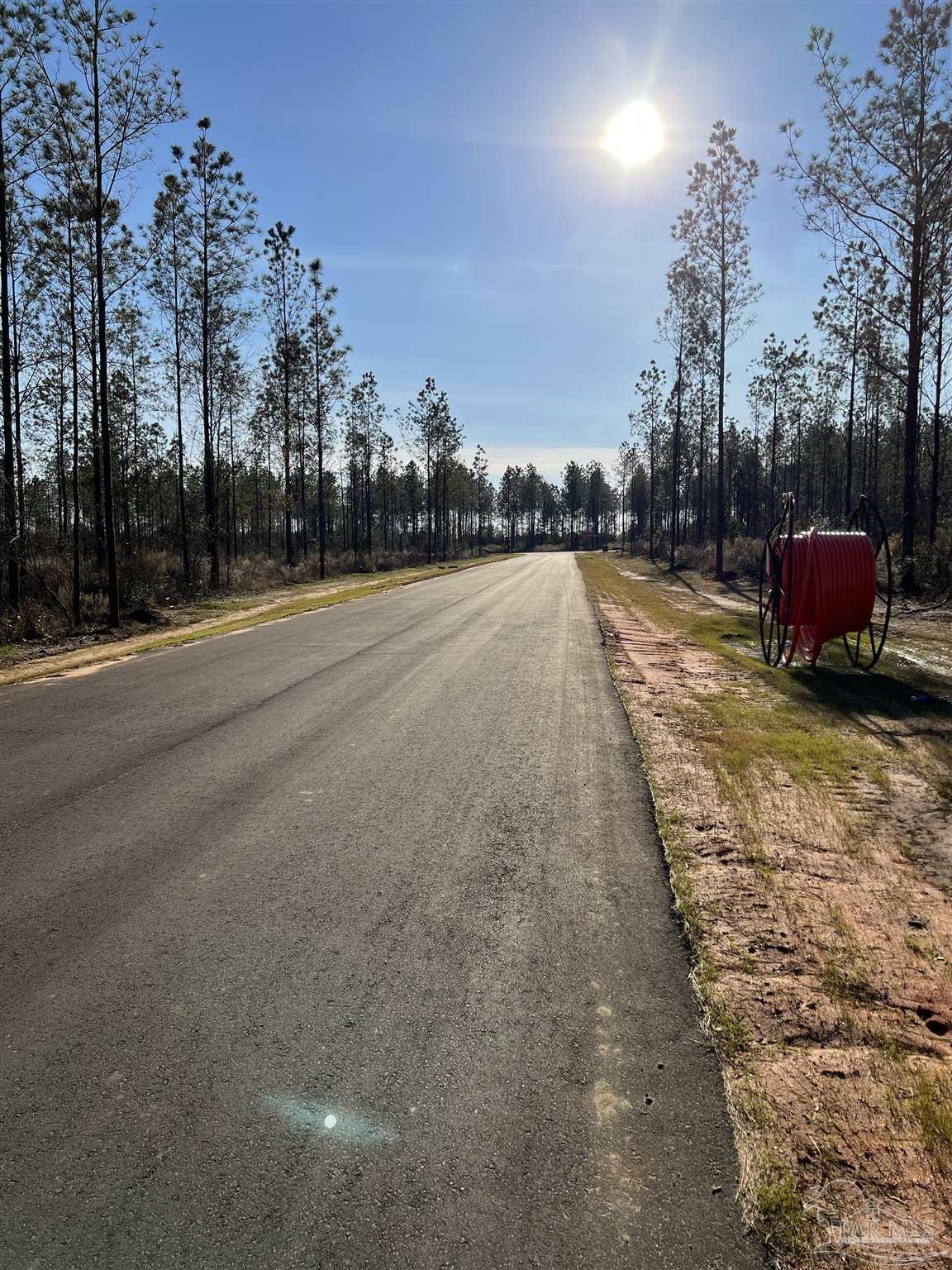 Steele Meadow Drive Milton, FL 32571 - Photo 3 of 5