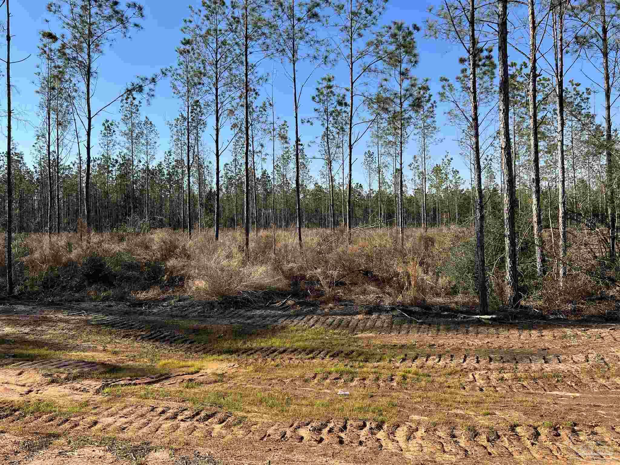 Steele Meadow Drive Milton, FL 32571 - Photo 4 of 5