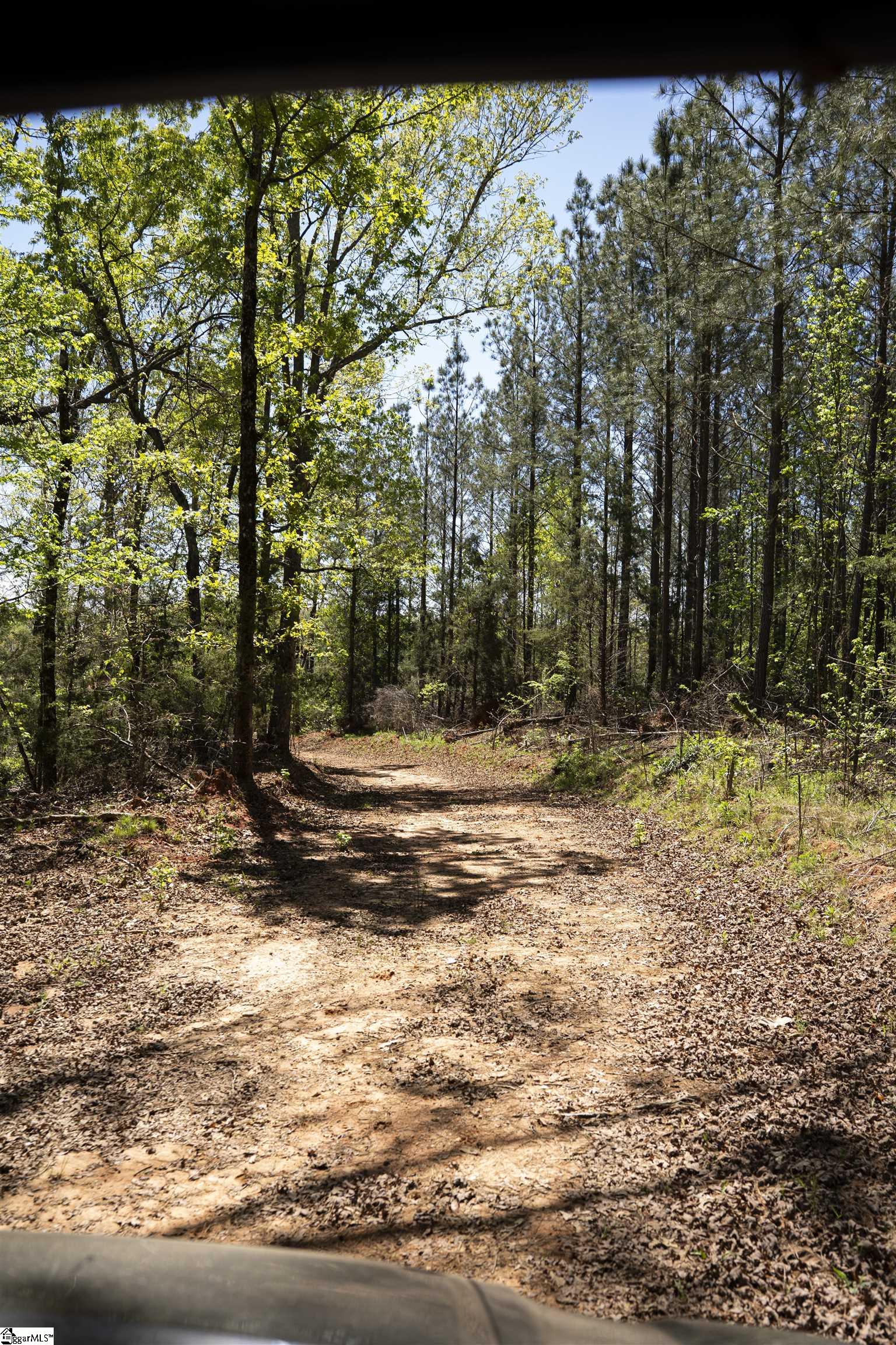 0 Loftis Road Abbeville, SC 29620 - Photo 16 of 27 Gallery Image 16